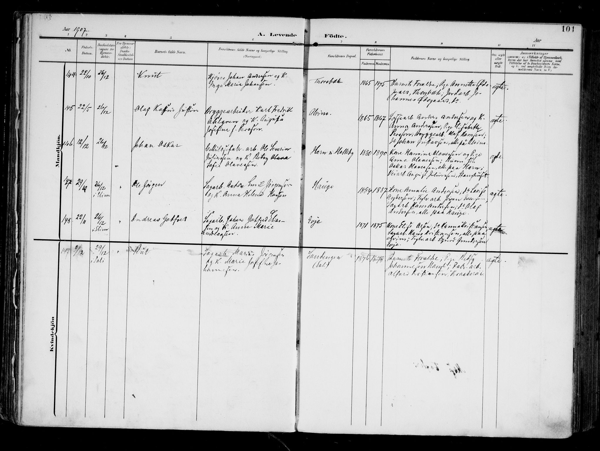 Tune prestekontor Kirkebøker, AV/SAO-A-2007/F/Fa/L0020: Ministerialbok nr. 20, 1904-1909, s. 101