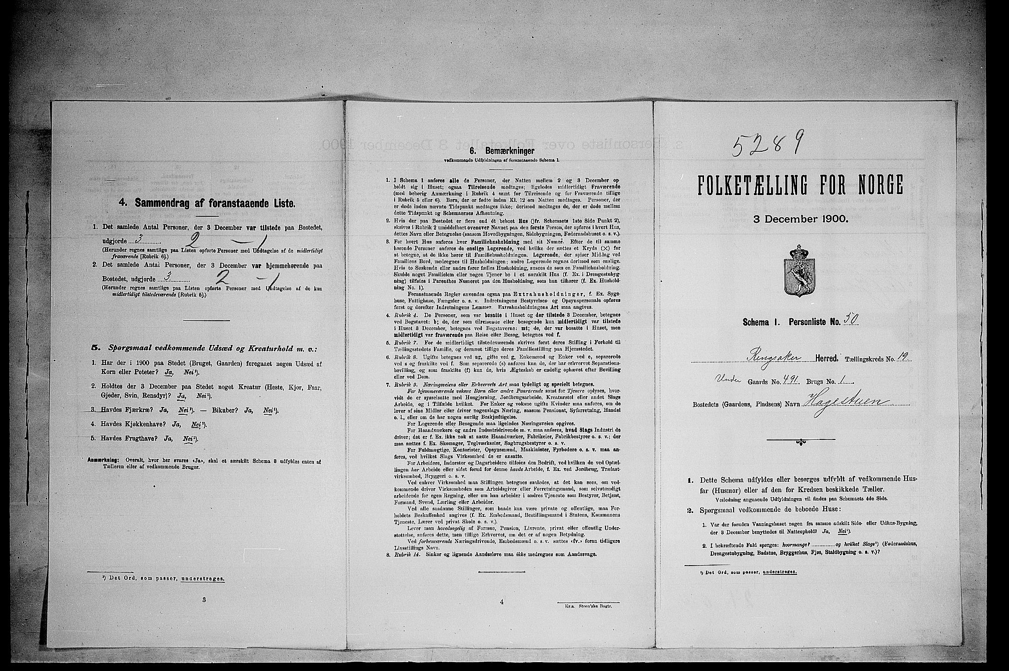 SAH, Folketelling 1900 for 0412 Ringsaker herred, 1900, s. 3481