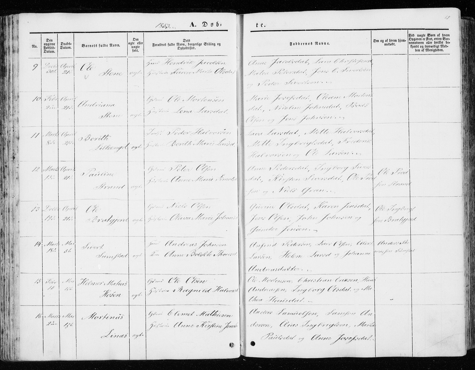 Ministerialprotokoller, klokkerbøker og fødselsregistre - Sør-Trøndelag, SAT/A-1456/657/L0704: Ministerialbok nr. 657A05, 1846-1857, s. 65