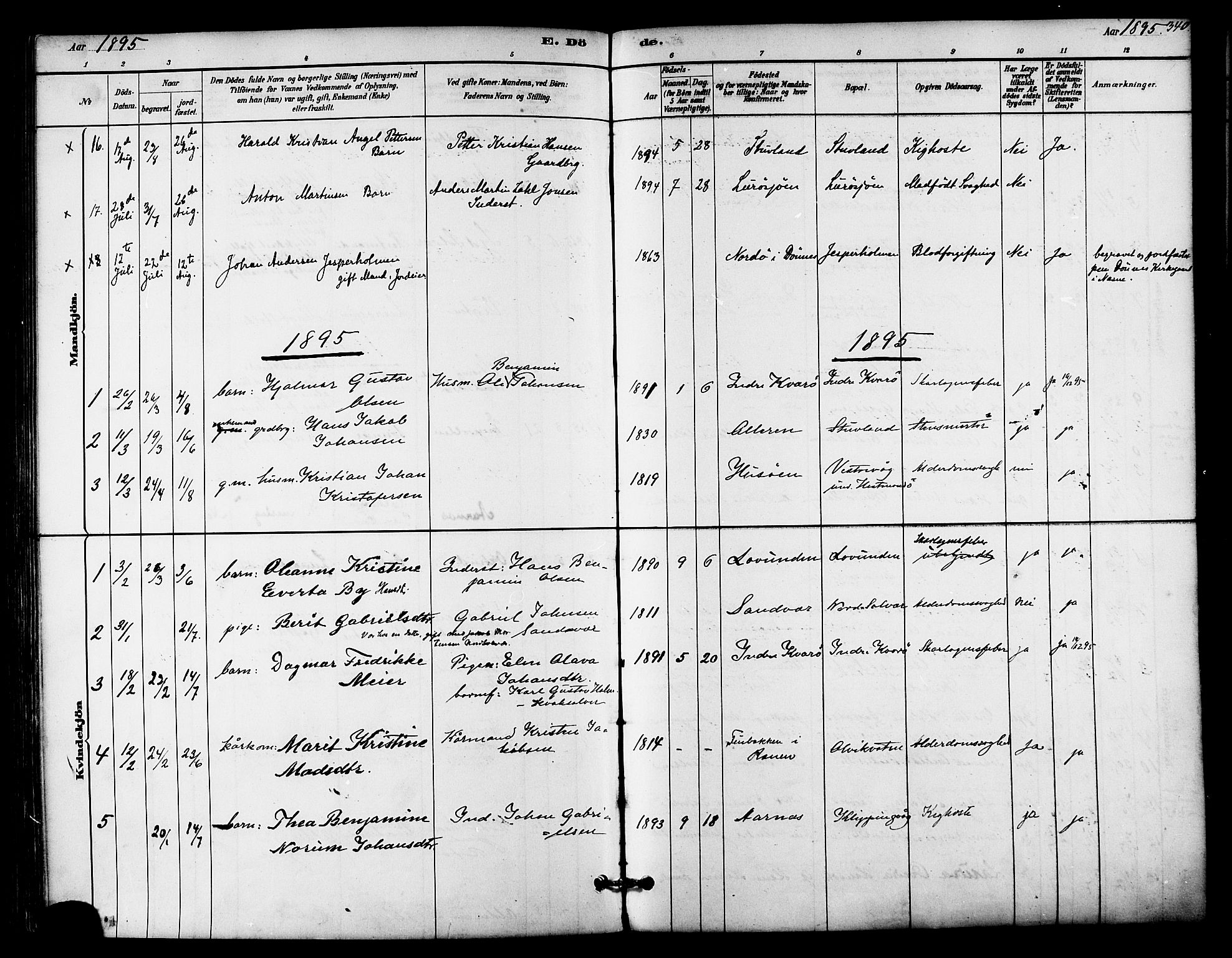 Ministerialprotokoller, klokkerbøker og fødselsregistre - Nordland, AV/SAT-A-1459/839/L0568: Ministerialbok nr. 839A05, 1880-1902, s. 340