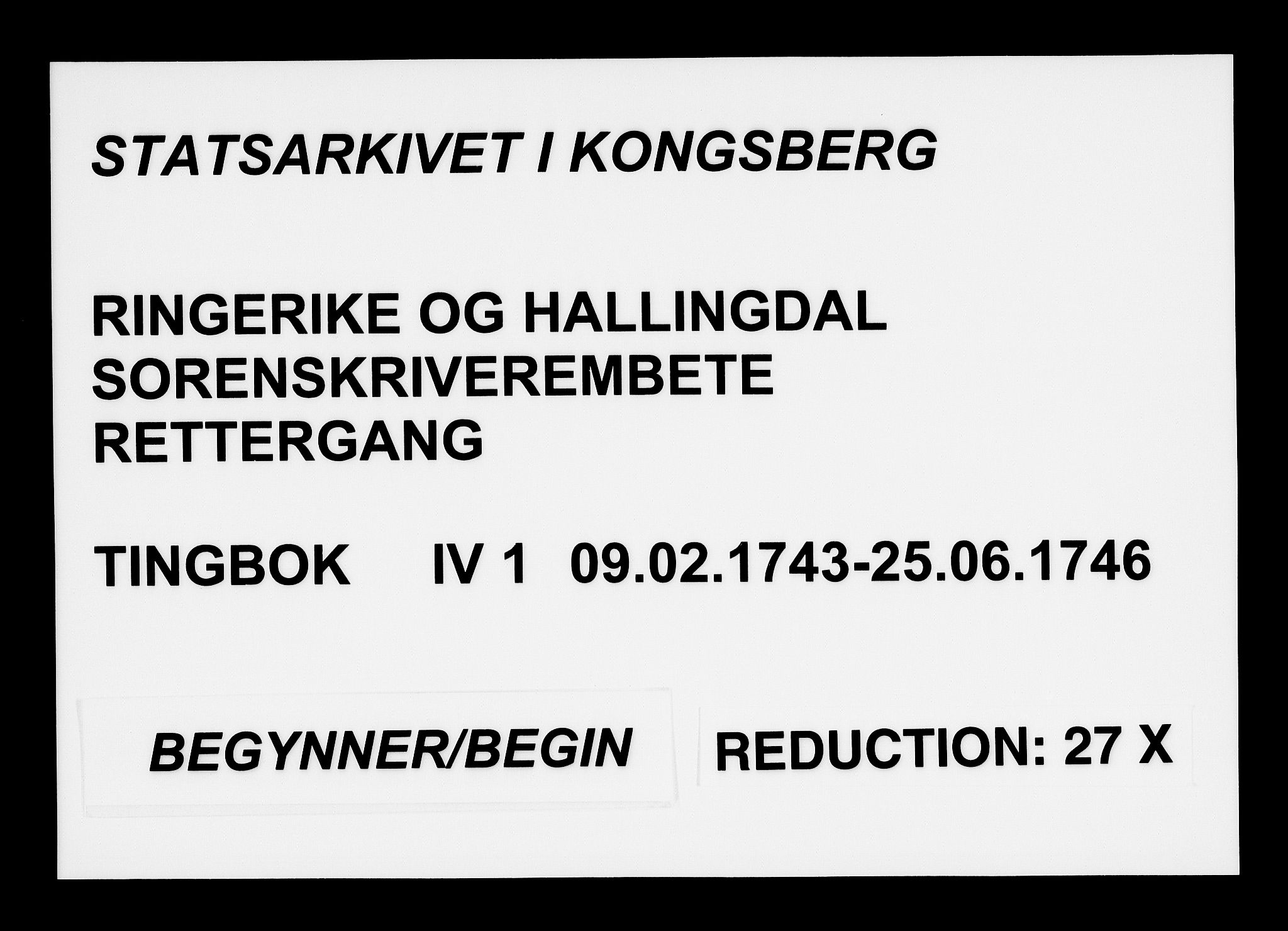 Ringerike og Hallingdal sorenskriveri, AV/SAKO-A-81/F/Fa/Fac/L0013b: Tingbok - Ringerike, 1799-1802