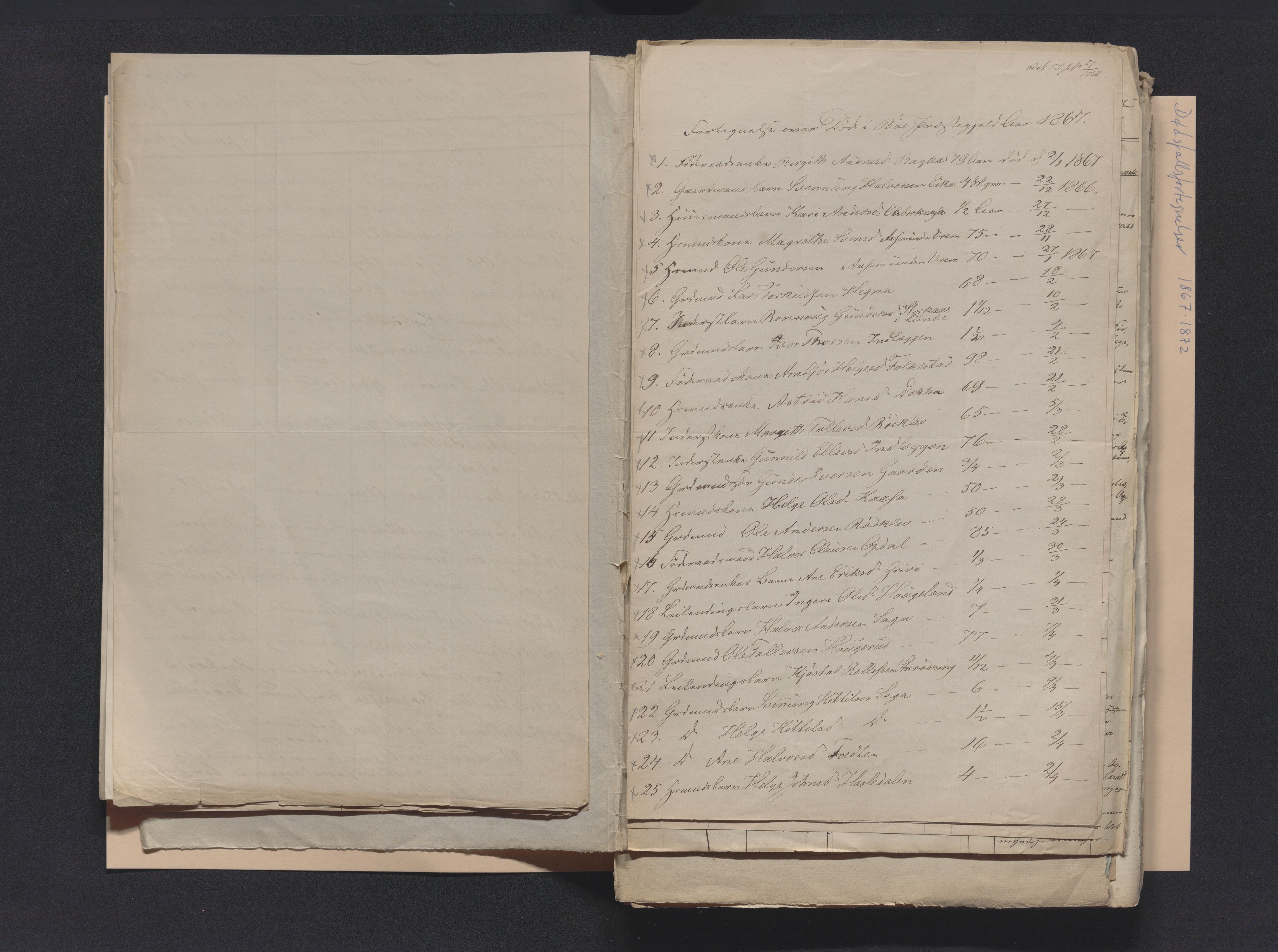 Nedre Telemark sorenskriveri, AV/SAKO-A-135/H/Ha/Hab/L0001: Dødsfallsfortegnelser
, 1867-1886, s. 9