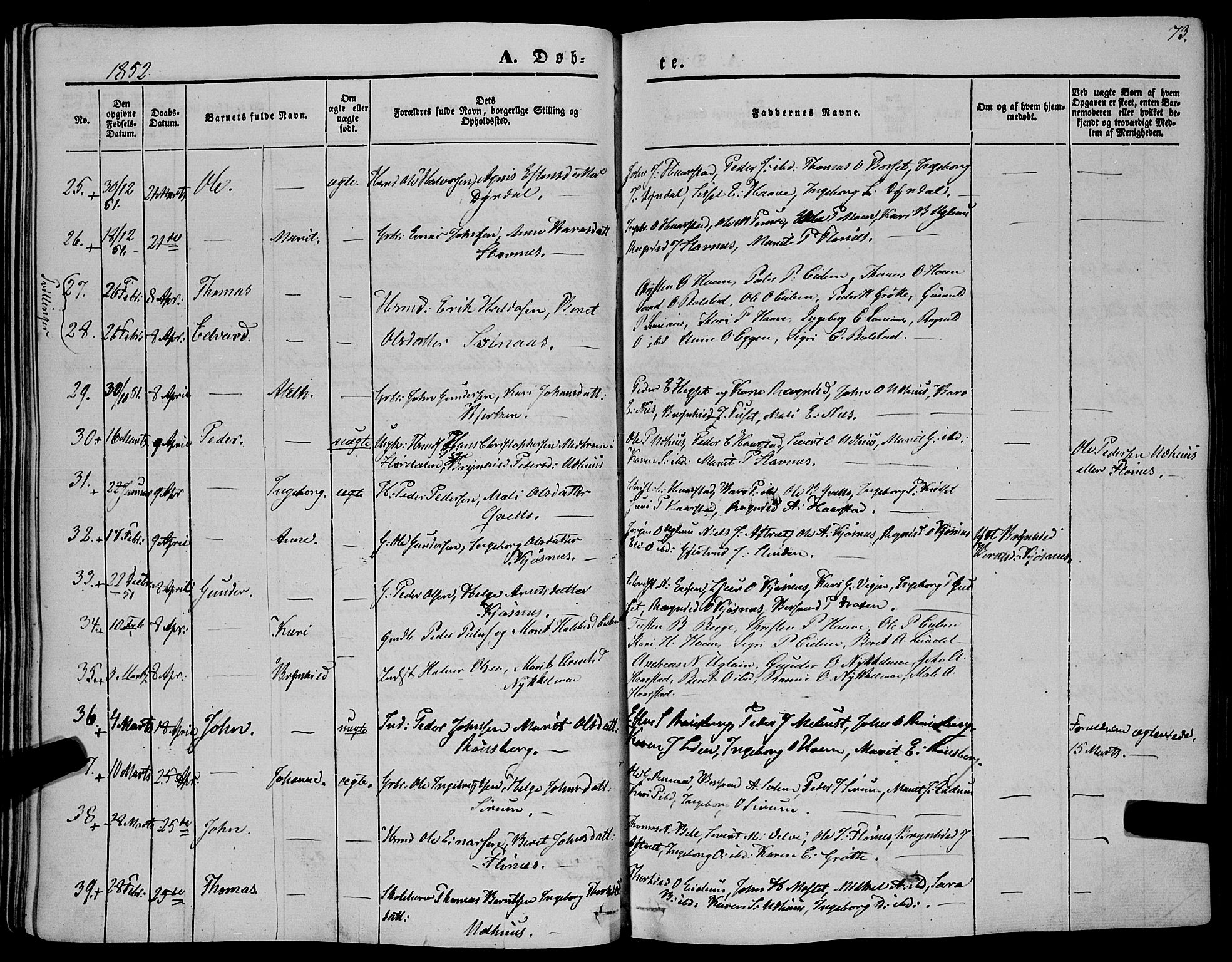 Ministerialprotokoller, klokkerbøker og fødselsregistre - Sør-Trøndelag, SAT/A-1456/695/L1145: Ministerialbok nr. 695A06 /1, 1843-1859, s. 73