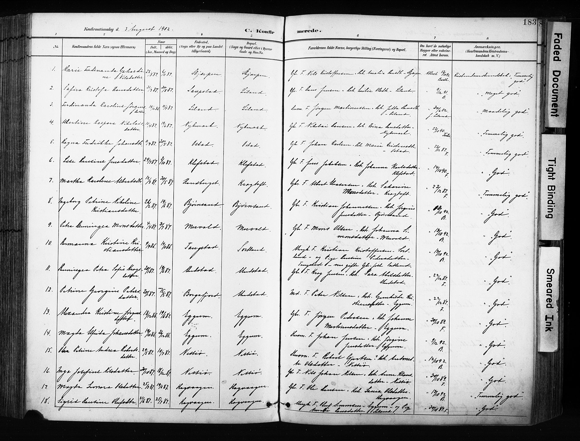Ministerialprotokoller, klokkerbøker og fødselsregistre - Nordland, AV/SAT-A-1459/880/L1134: Ministerialbok nr. 880A08, 1899-1908, s. 183