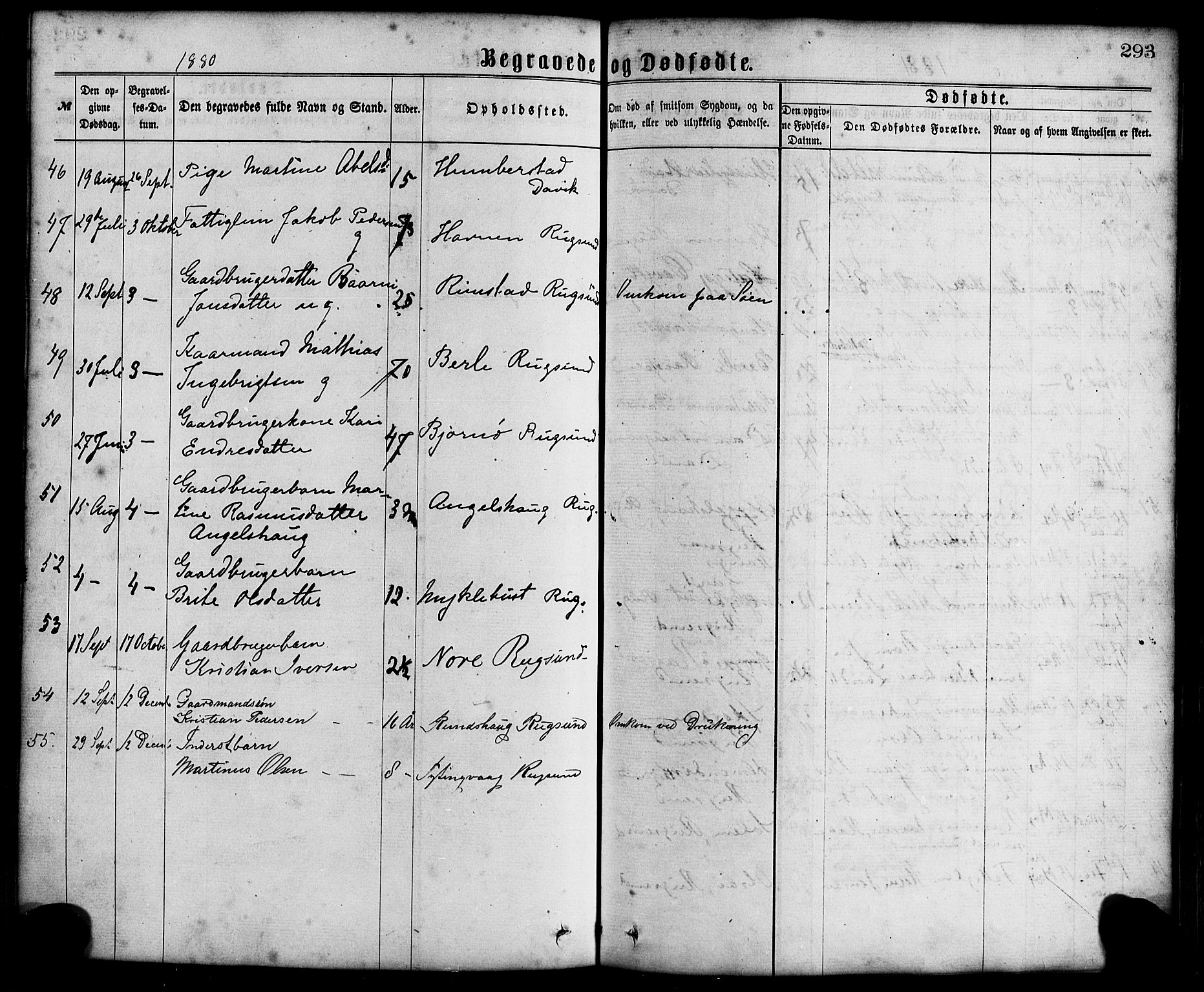 Davik sokneprestembete, AV/SAB-A-79701/H/Haa/Haaa/L0006: Ministerialbok nr. A 6, 1867-1881, s. 293