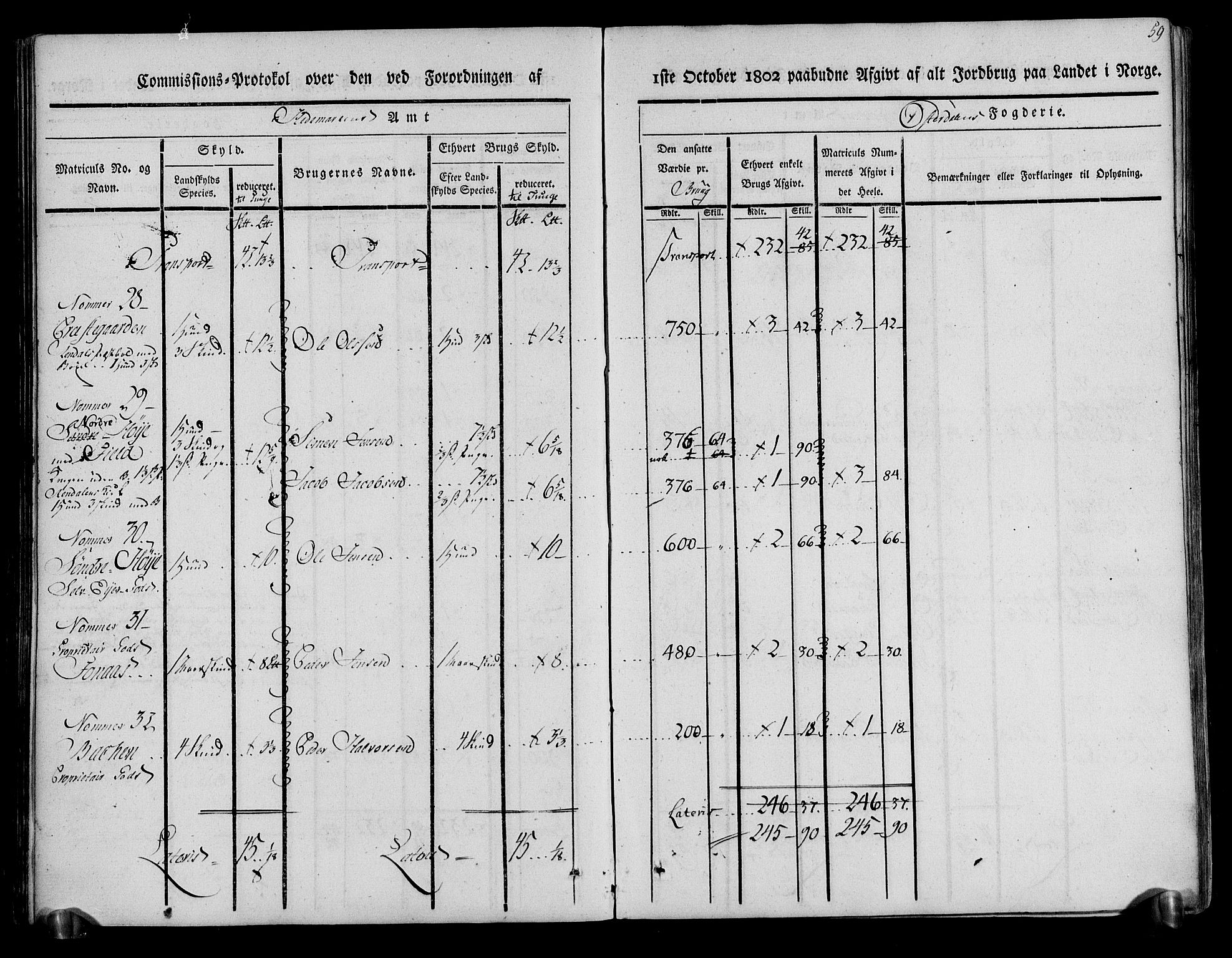 Rentekammeret inntil 1814, Realistisk ordnet avdeling, AV/RA-EA-4070/N/Ne/Nea/L0029: Østerdal fogderi. Kommisjonsprotokoll, 1803, s. 61