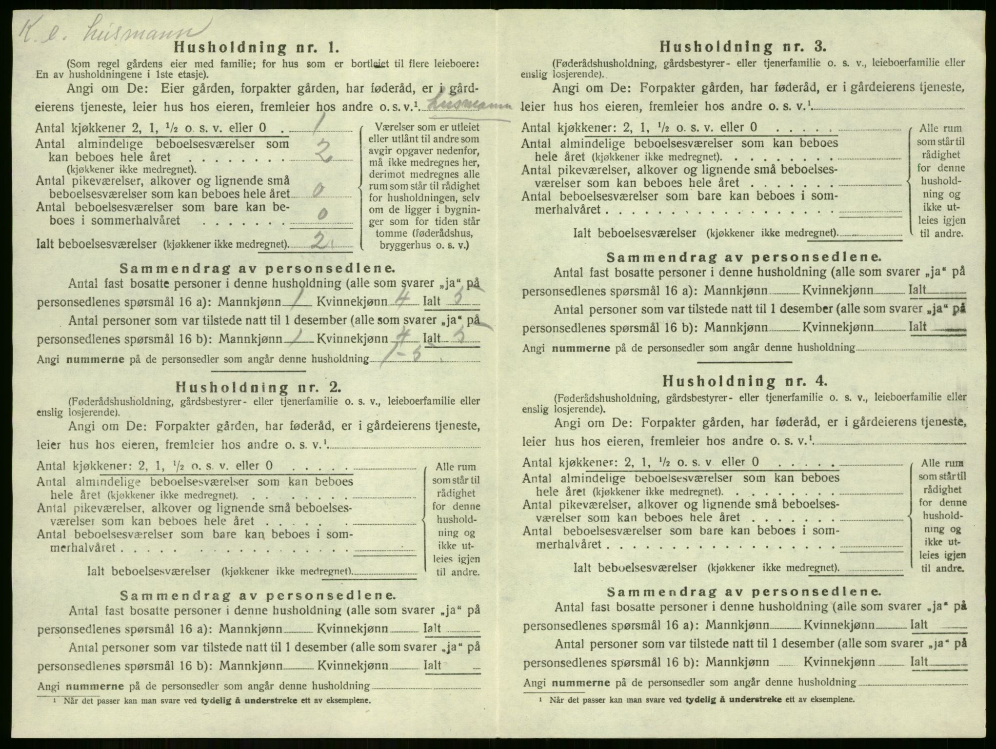 SAKO, Folketelling 1920 for 0612 Hole herred, 1920, s. 962