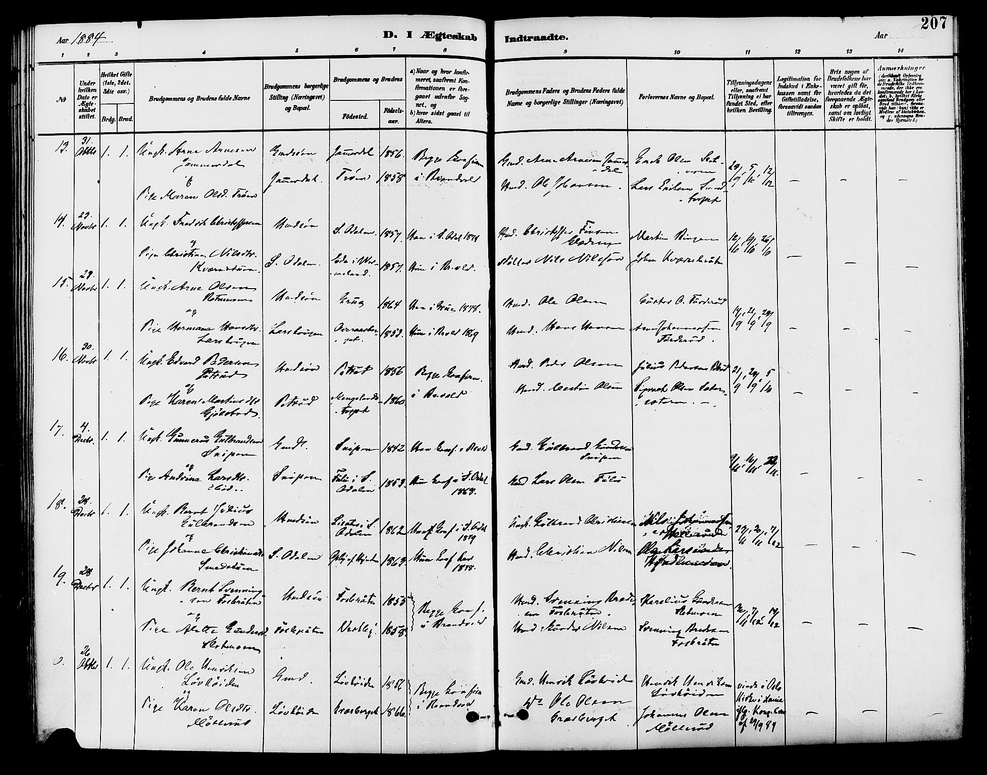 Brandval prestekontor, AV/SAH-PREST-034/H/Ha/Haa/L0002: Ministerialbok nr. 2, 1880-1894, s. 207