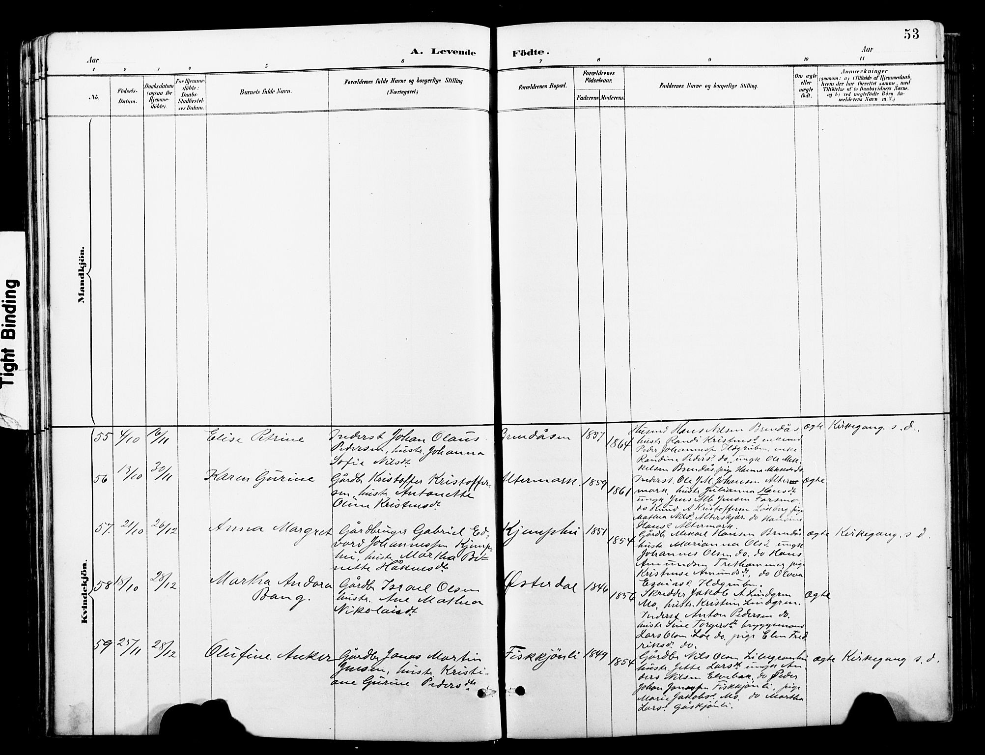 Ministerialprotokoller, klokkerbøker og fødselsregistre - Nordland, AV/SAT-A-1459/827/L0421: Klokkerbok nr. 827C10, 1887-1906, s. 53