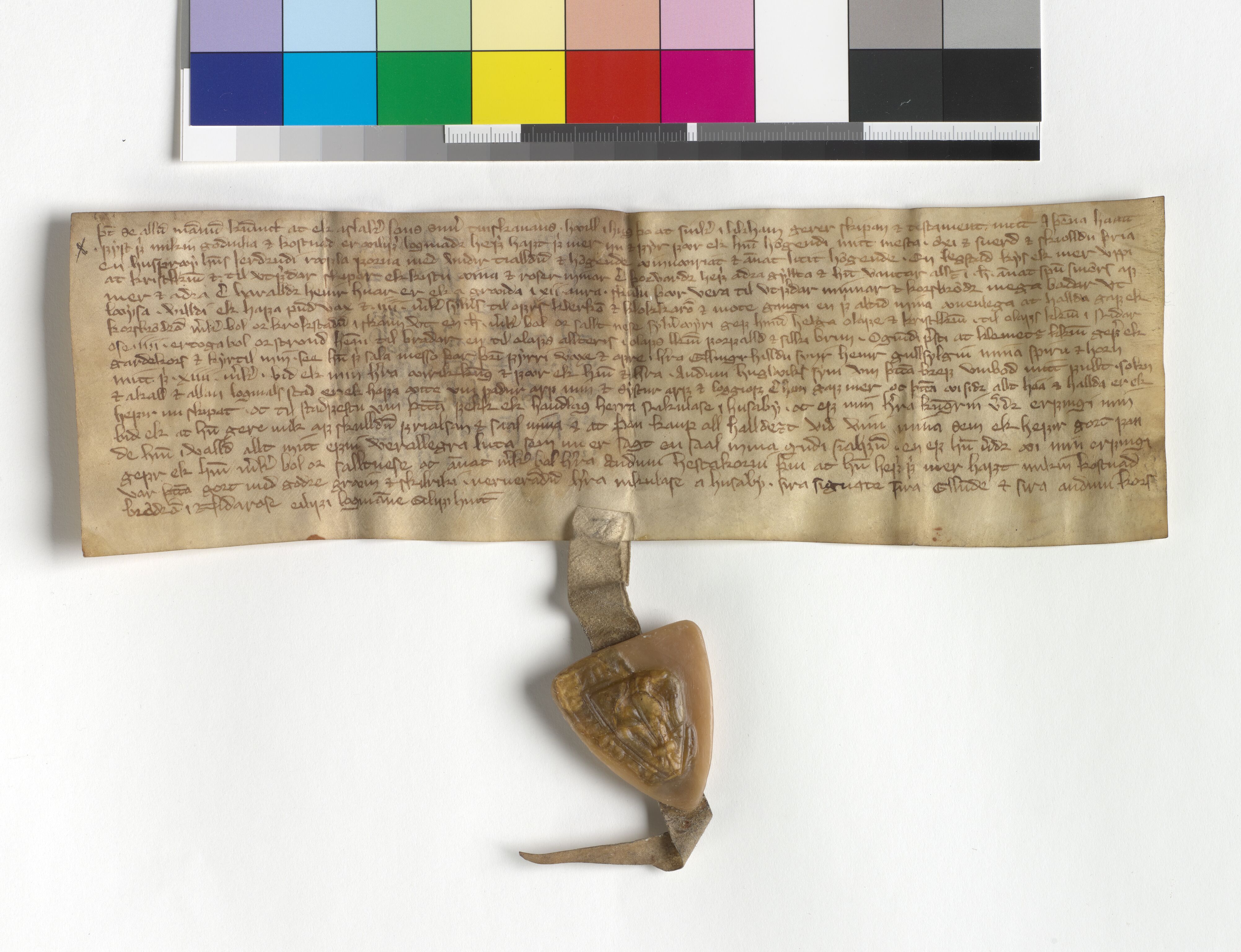 Riksarkivets diplomsamling, AV/RA-EA-5965/F05/L0068: NRA AM fasc. 20 nr. 3-7, 1294-1303, s. 12