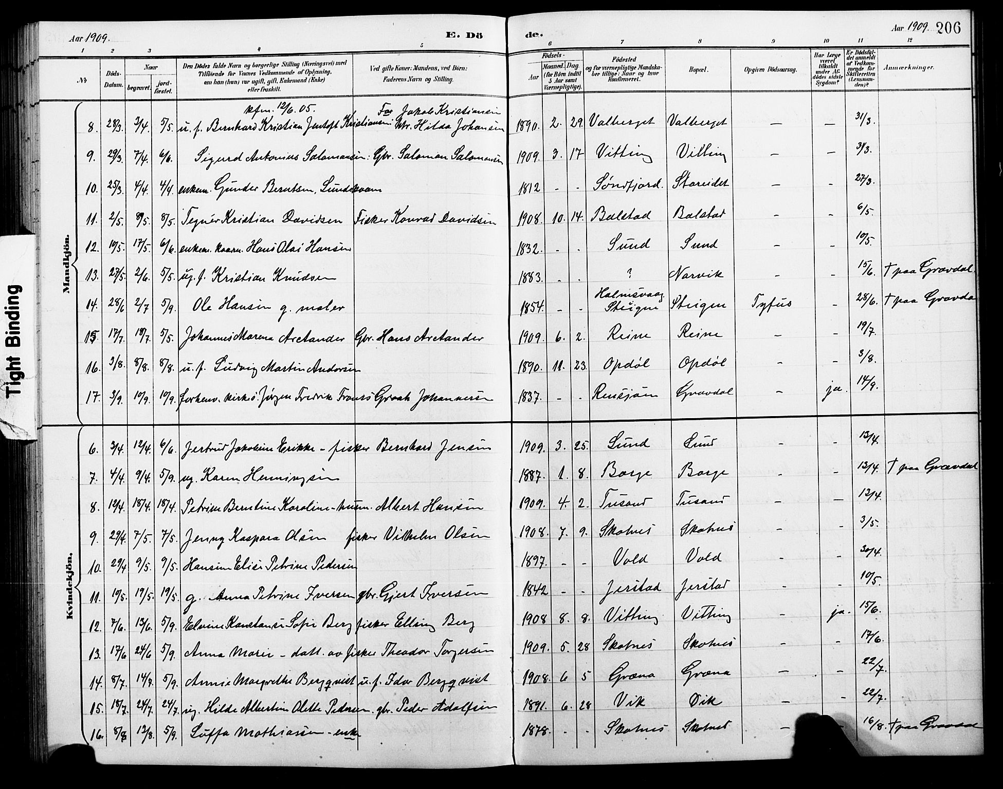 Ministerialprotokoller, klokkerbøker og fødselsregistre - Nordland, AV/SAT-A-1459/881/L1168: Klokkerbok nr. 881C05, 1900-1911, s. 206