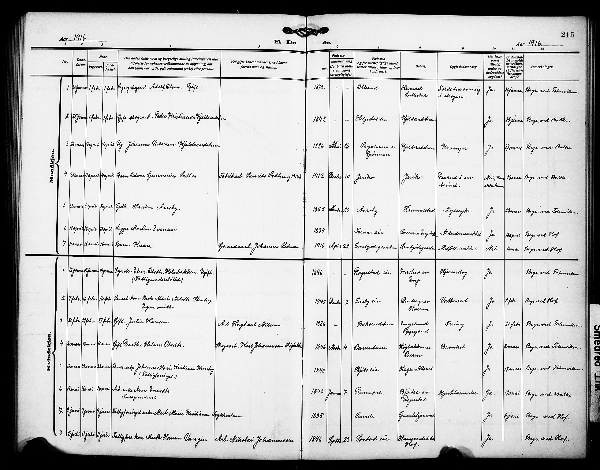 Østre Toten prestekontor, AV/SAH-PREST-104/H/Ha/Hab/L0008: Klokkerbok nr. 8, 1913-1929, s. 215