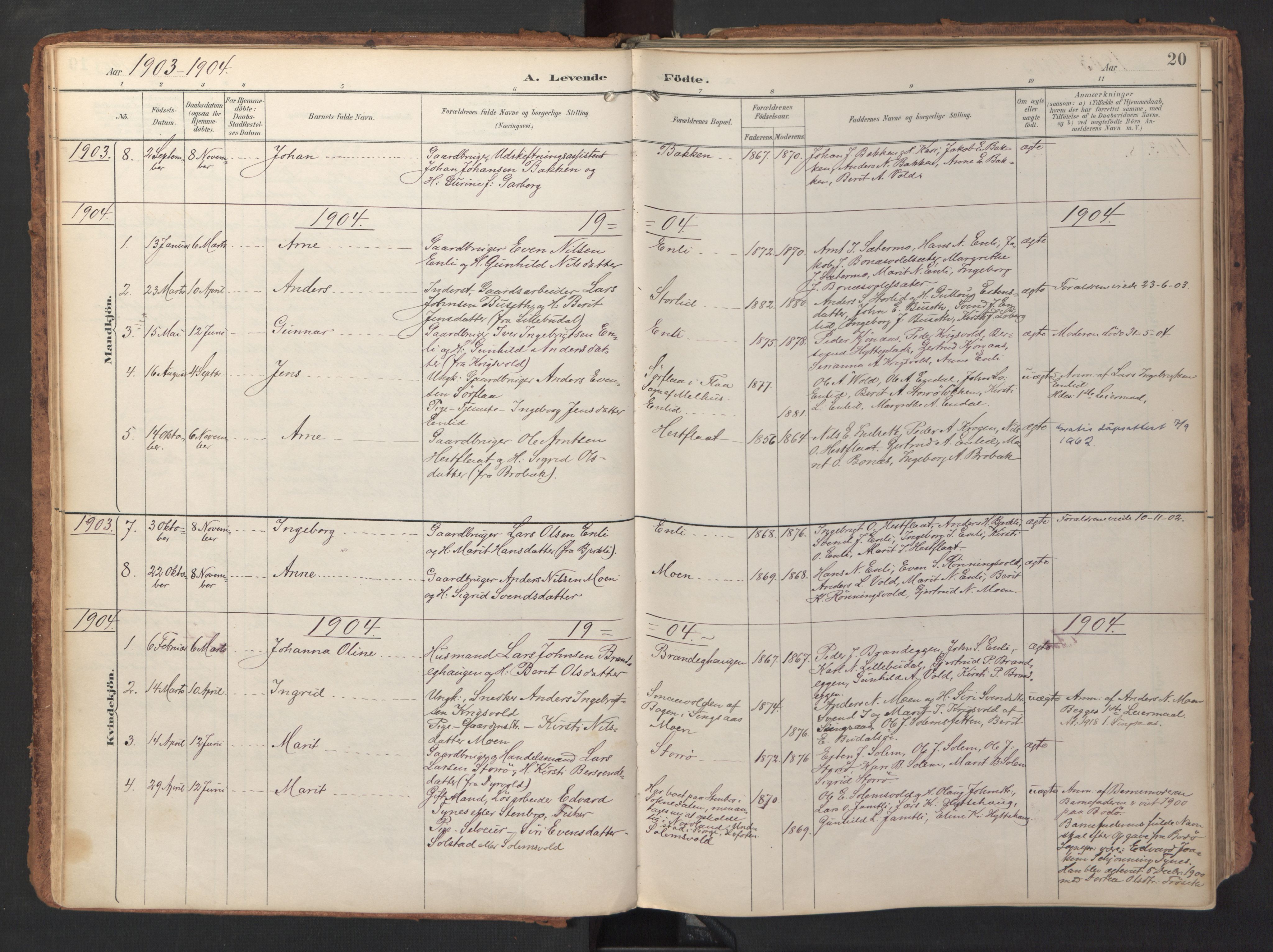 Ministerialprotokoller, klokkerbøker og fødselsregistre - Sør-Trøndelag, AV/SAT-A-1456/690/L1050: Ministerialbok nr. 690A01, 1889-1929, s. 20