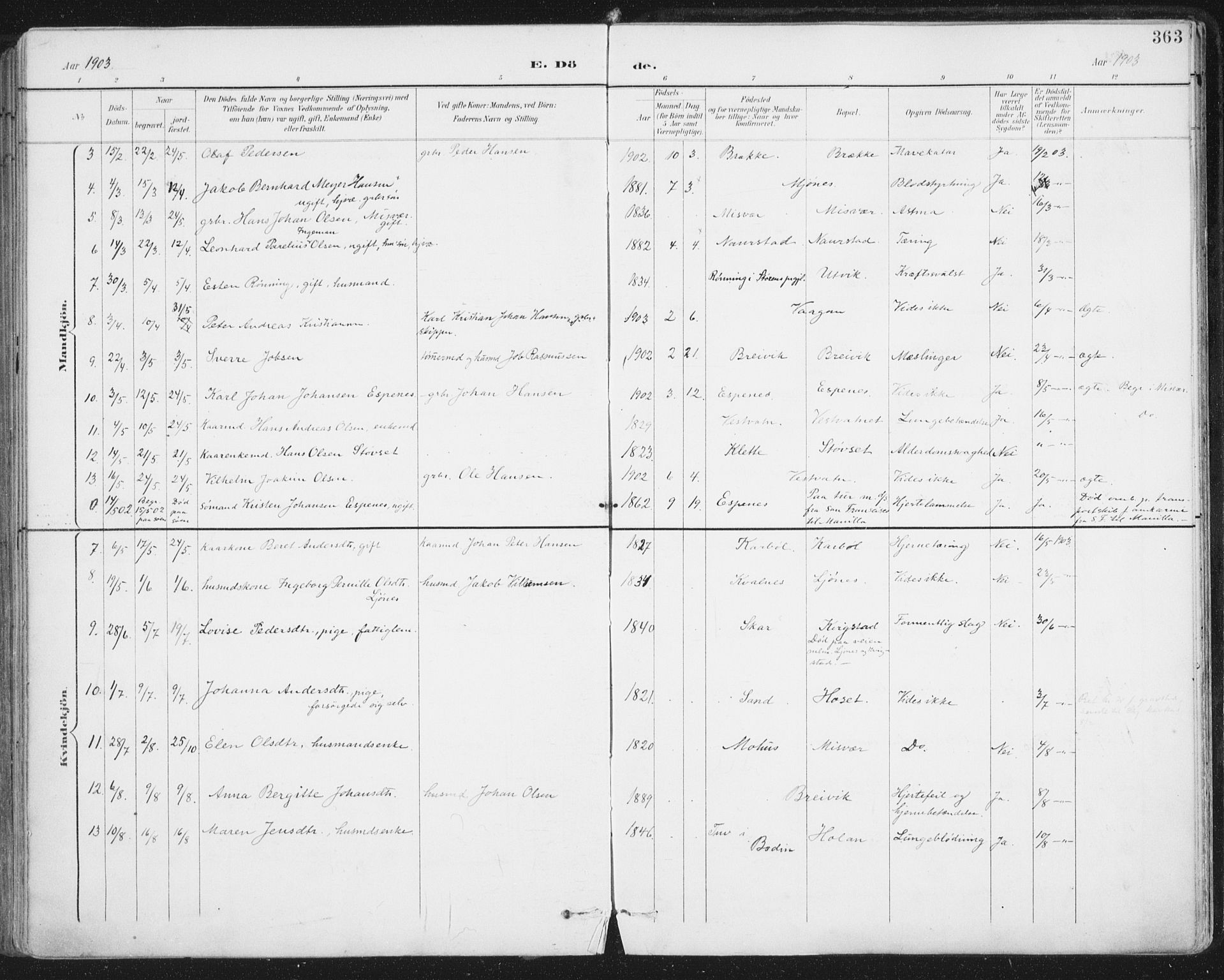 Ministerialprotokoller, klokkerbøker og fødselsregistre - Nordland, SAT/A-1459/852/L0741: Ministerialbok nr. 852A11, 1894-1917, s. 363