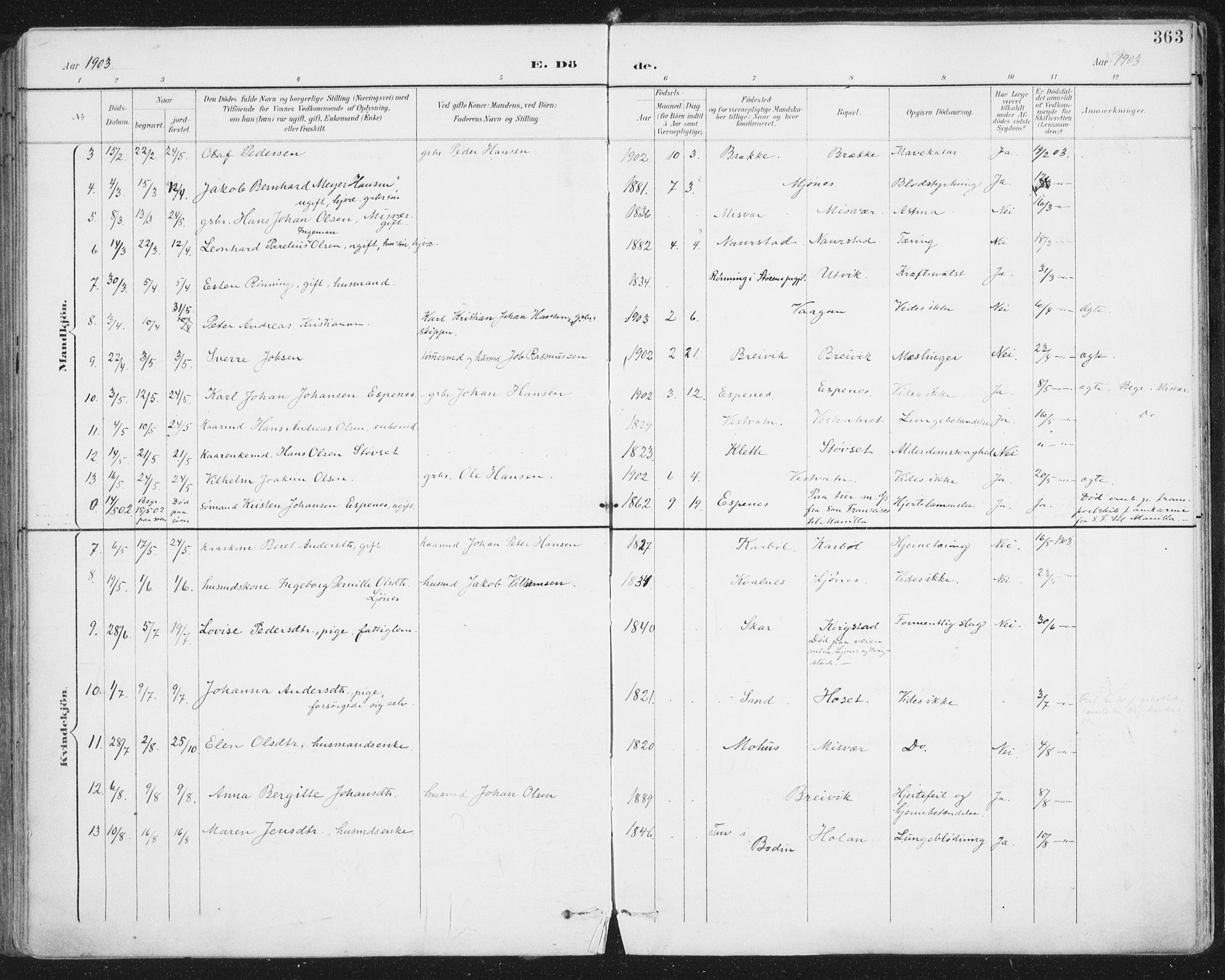 Ministerialprotokoller, klokkerbøker og fødselsregistre - Nordland, AV/SAT-A-1459/852/L0741: Ministerialbok nr. 852A11, 1894-1917, s. 363