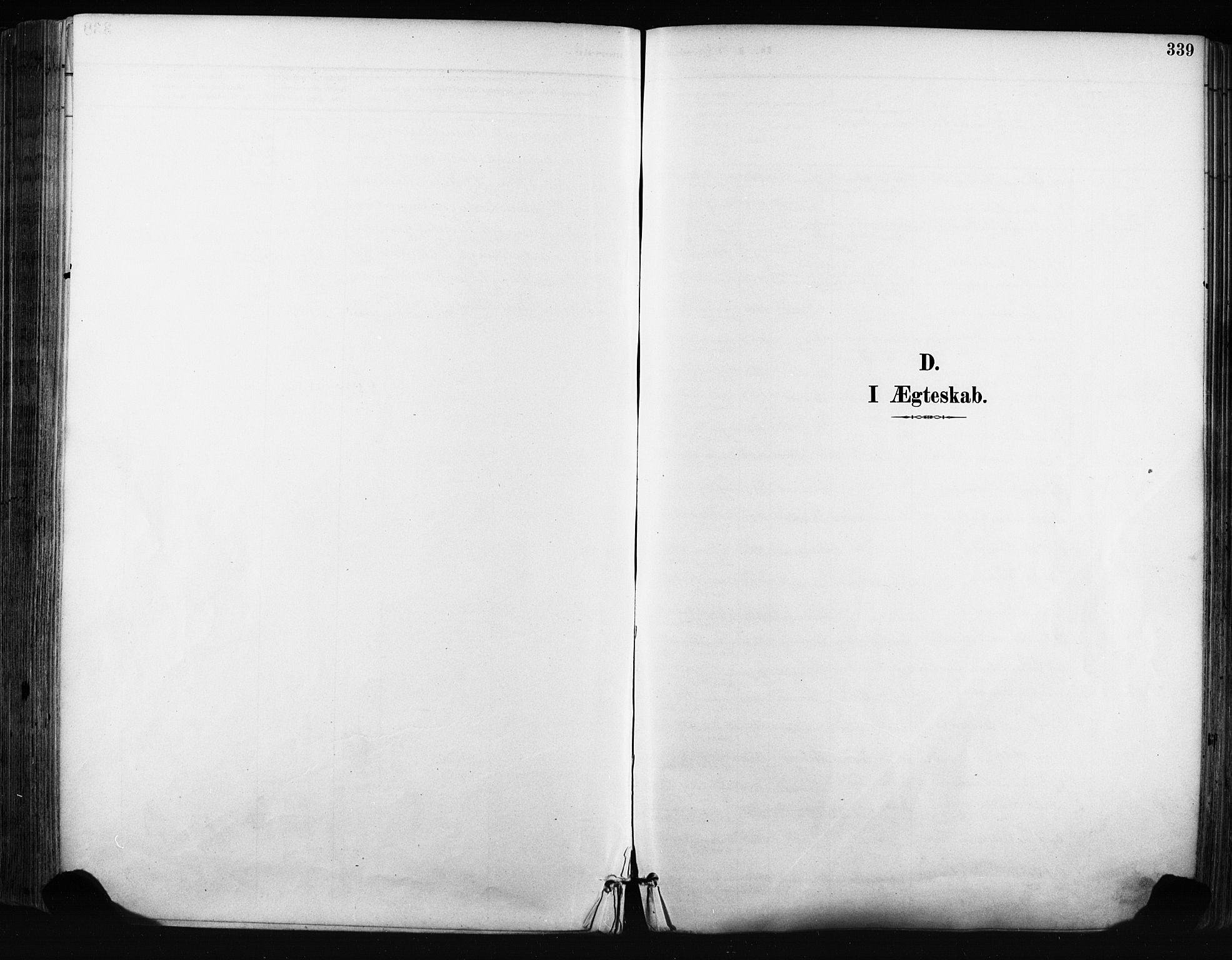 Norderhov kirkebøker, SAKO/A-237/F/Fa/L0016: Ministerialbok nr. 16, 1885-1902, s. 339