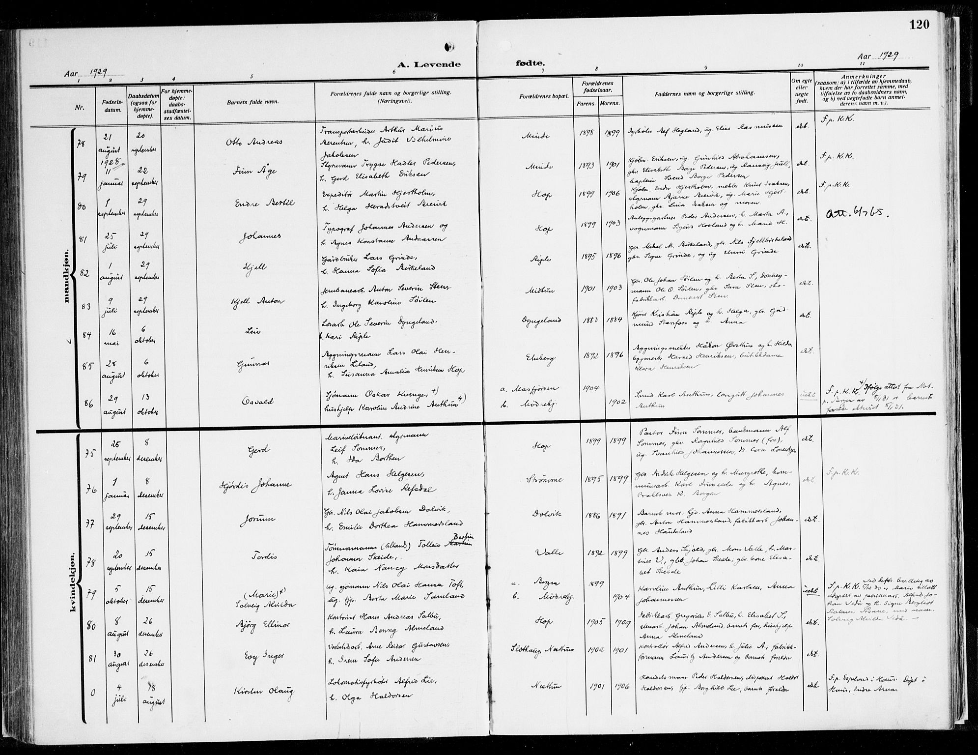 Fana Sokneprestembete, AV/SAB-A-75101/H/Haa/Haaj/L0001: Ministerialbok nr. J 1, 1921-1935, s. 120