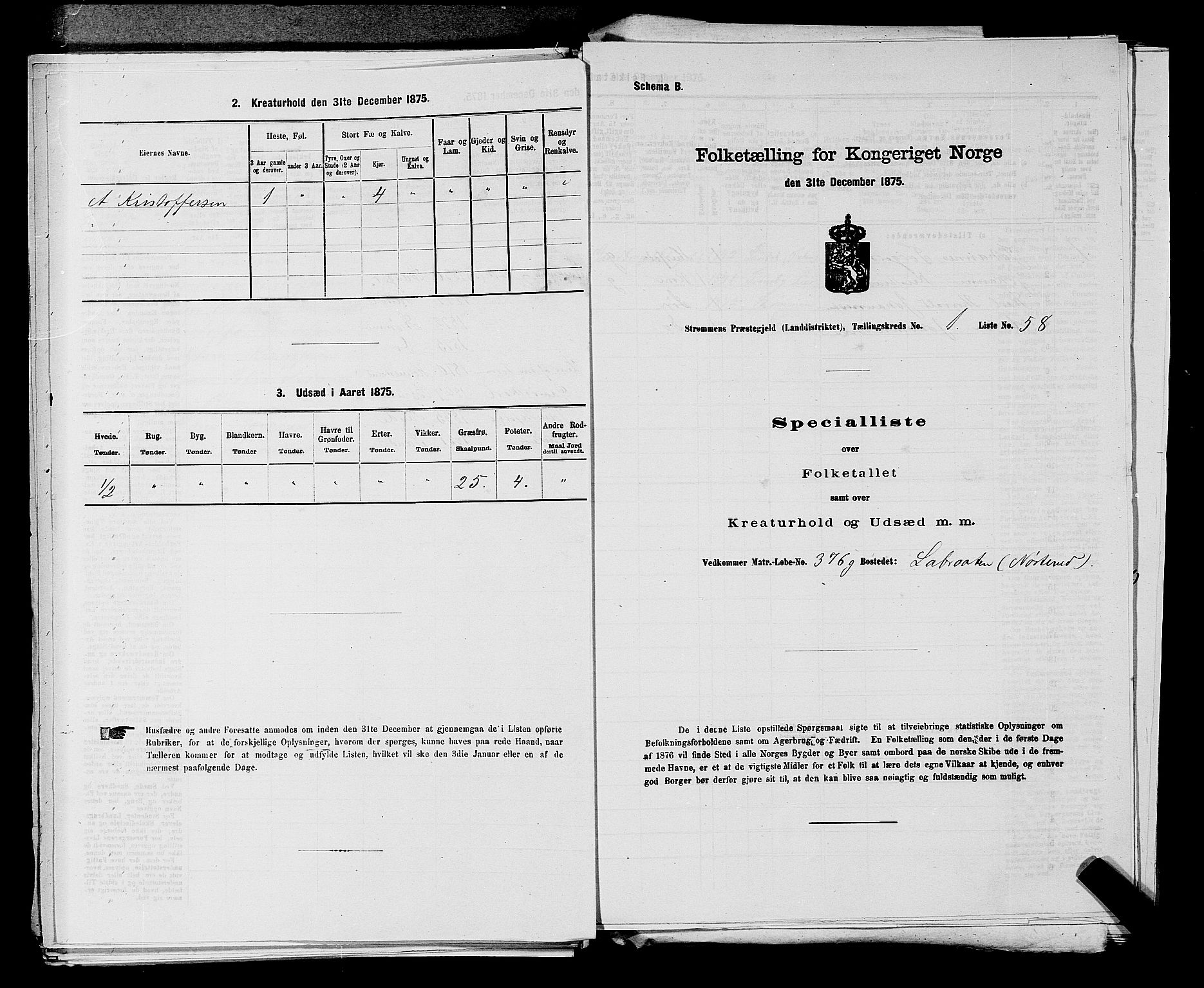 SAKO, Folketelling 1875 for 0711L Strømm prestegjeld, Strømm sokn, 1875, s. 152