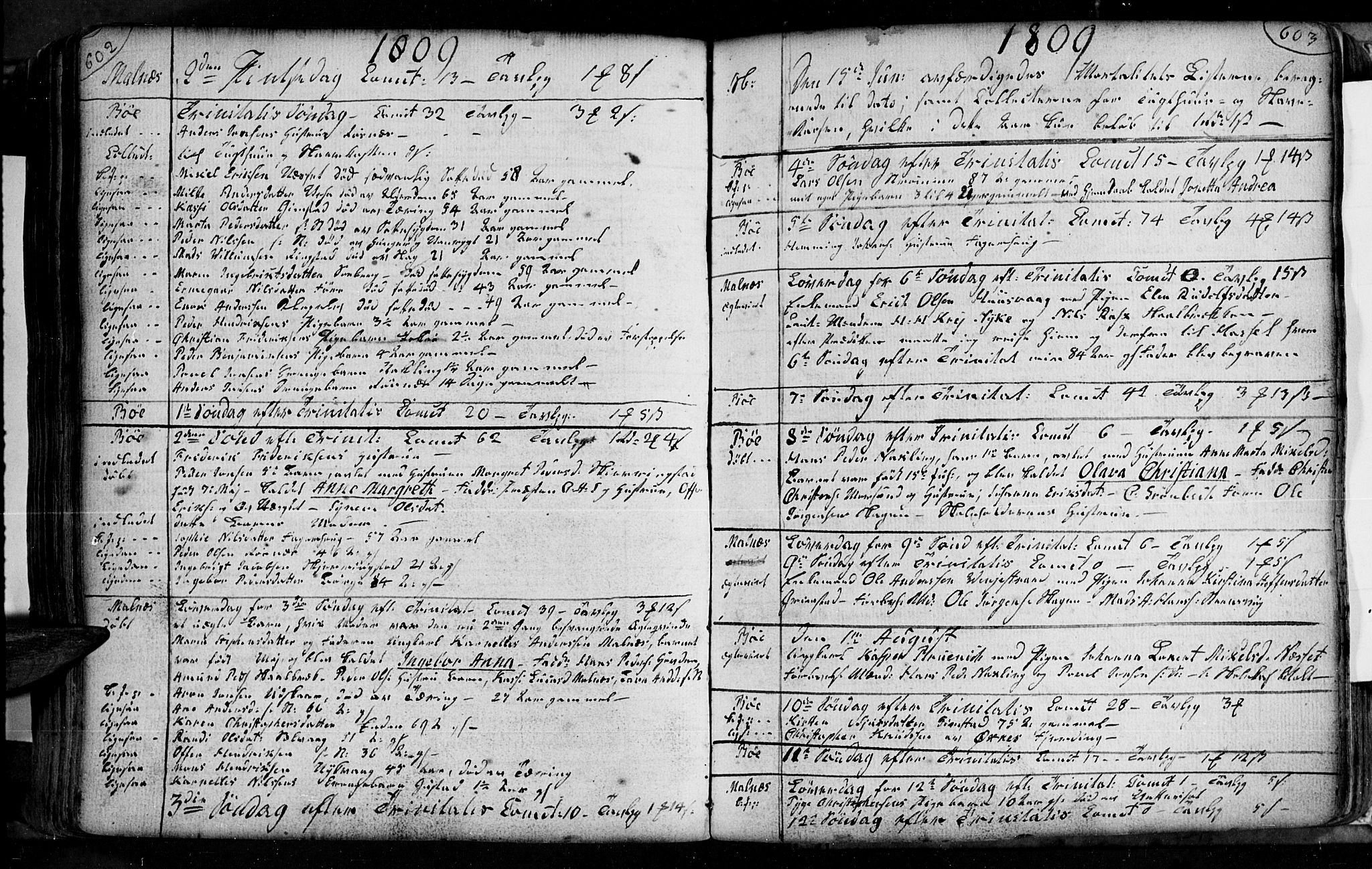 Ministerialprotokoller, klokkerbøker og fødselsregistre - Nordland, AV/SAT-A-1459/891/L1297: Ministerialbok nr. 891A02, 1759-1820, s. 602-603