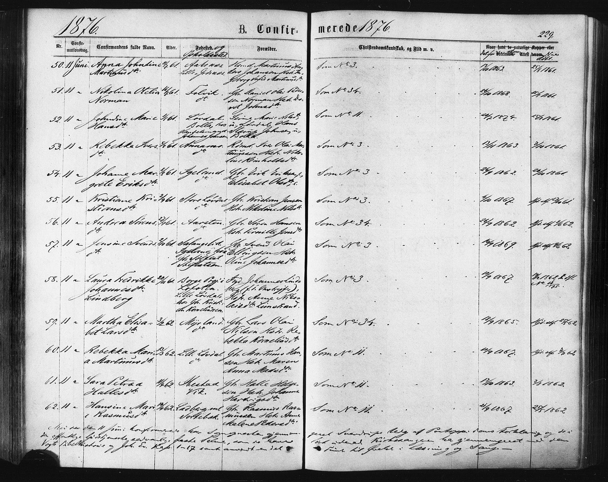Ibestad sokneprestembete, AV/SATØ-S-0077/H/Ha/Haa/L0010kirke: Ministerialbok nr. 10, 1869-1879, s. 229