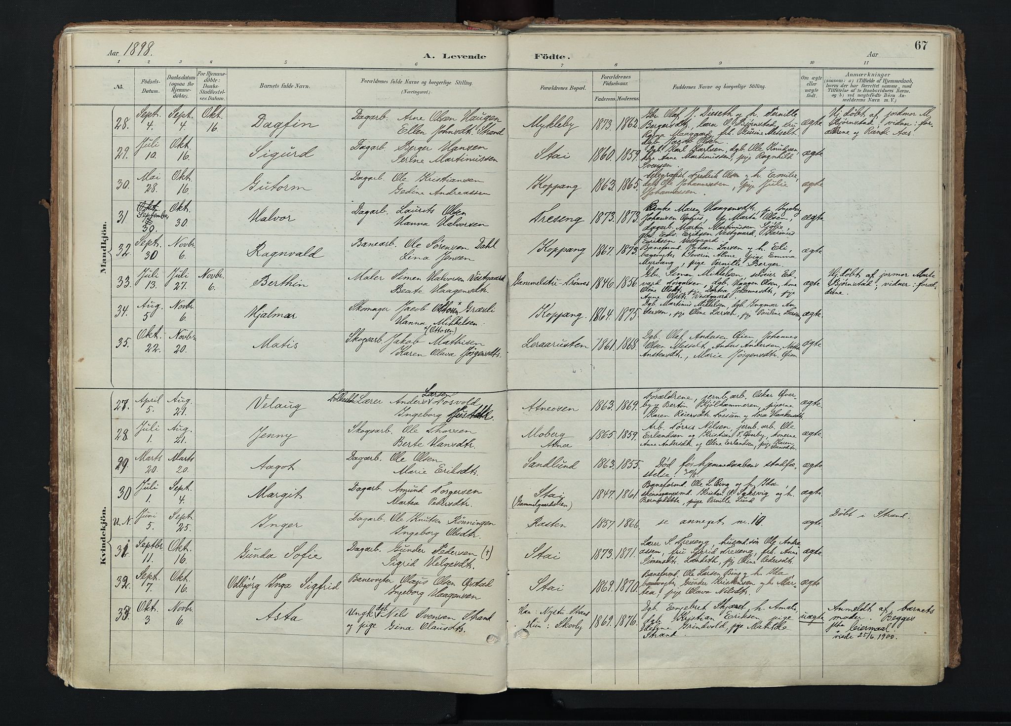 Stor-Elvdal prestekontor, AV/SAH-PREST-052/H/Ha/Haa/L0004: Ministerialbok nr. 4, 1890-1922, s. 67