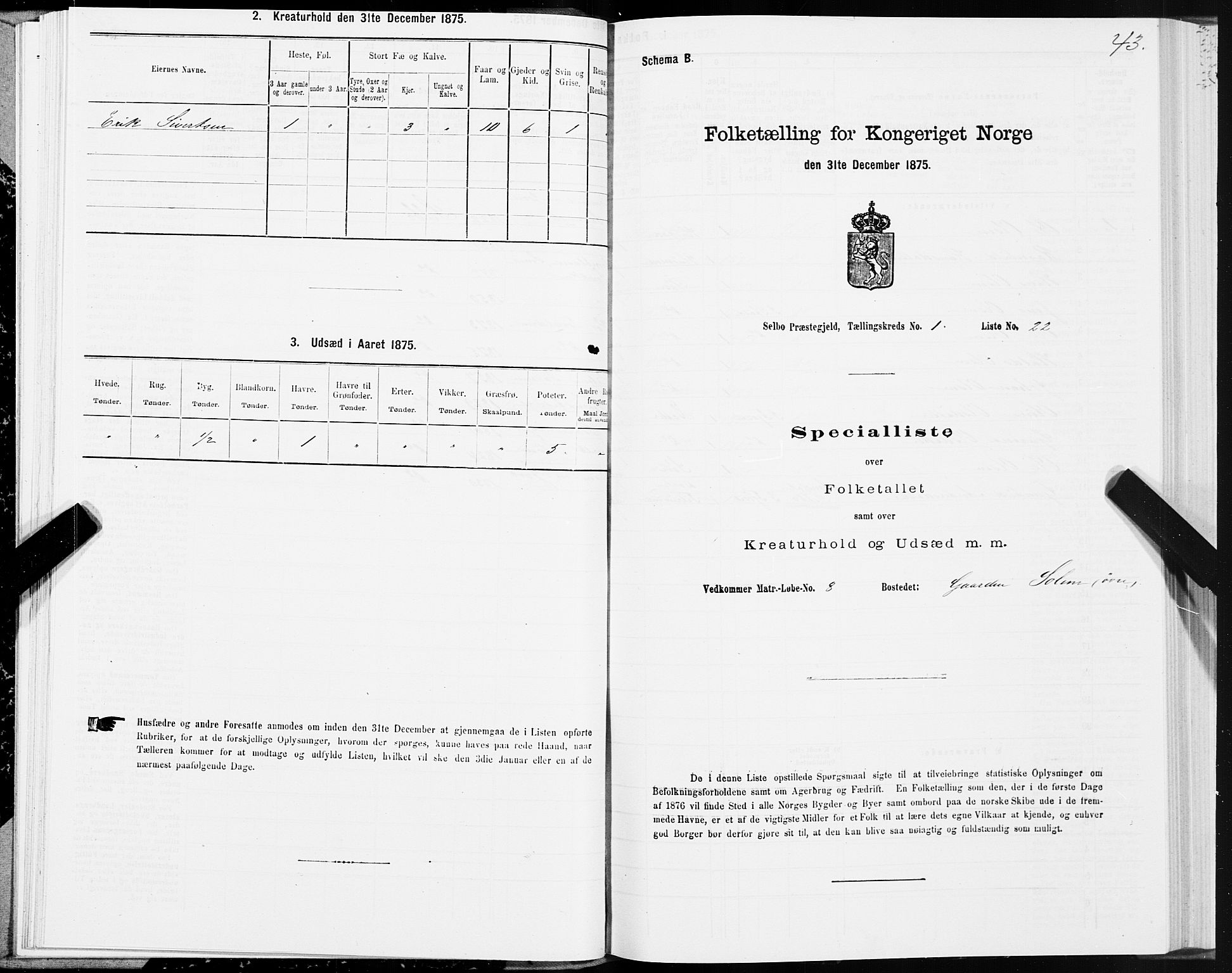 SAT, Folketelling 1875 for 1664P Selbu prestegjeld, 1875, s. 1043