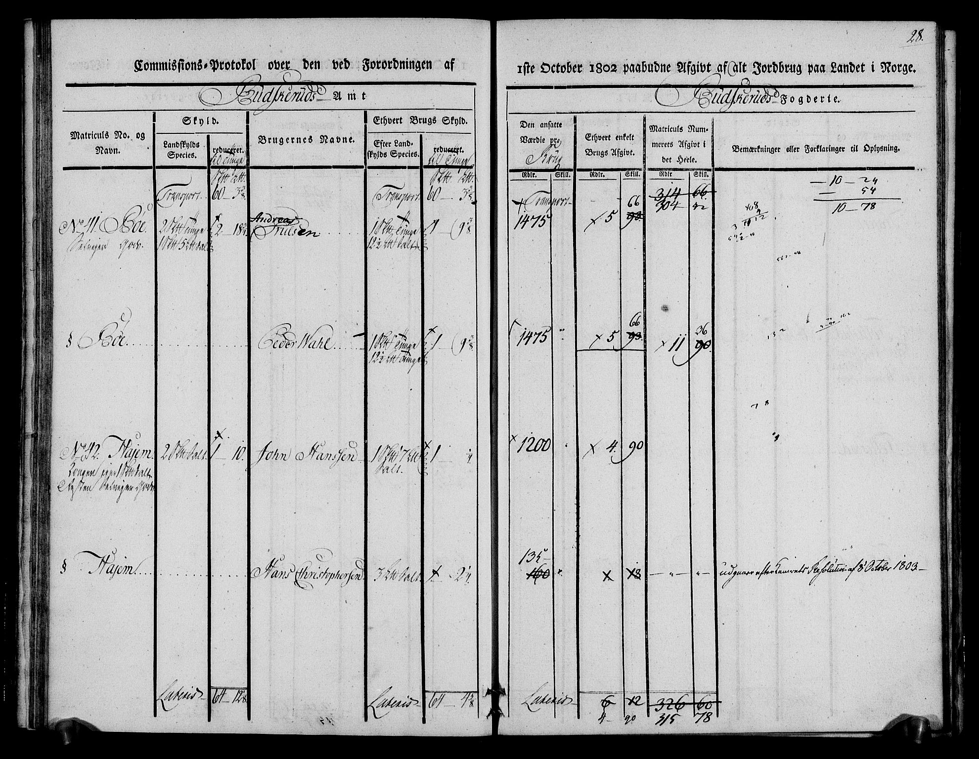 Rentekammeret inntil 1814, Realistisk ordnet avdeling, RA/EA-4070/N/Ne/Nea/L0062: Buskerud fogderi. Kommisjonsprotokoll for Røyken prestegjeld, 1803, s. 28