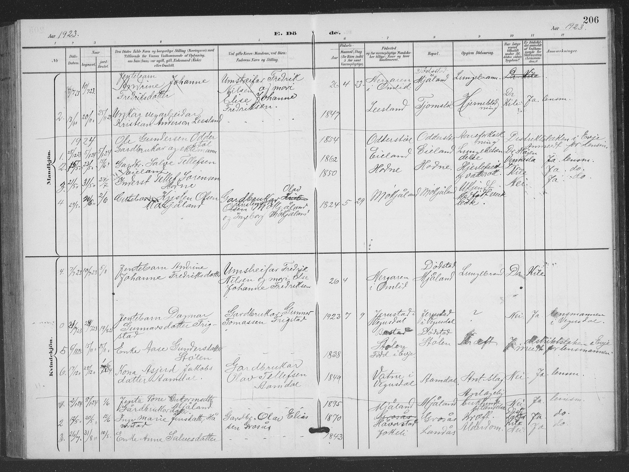Evje sokneprestkontor, AV/SAK-1111-0008/F/Fb/Fbc/L0005: Klokkerbok nr. B 5, 1901-1935, s. 206