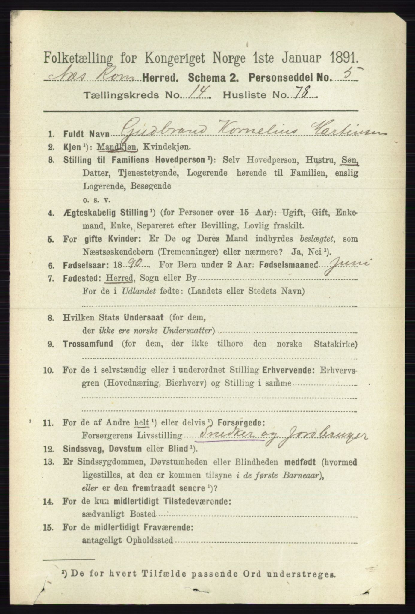 RA, Folketelling 1891 for 0236 Nes herred, 1891, s. 8916