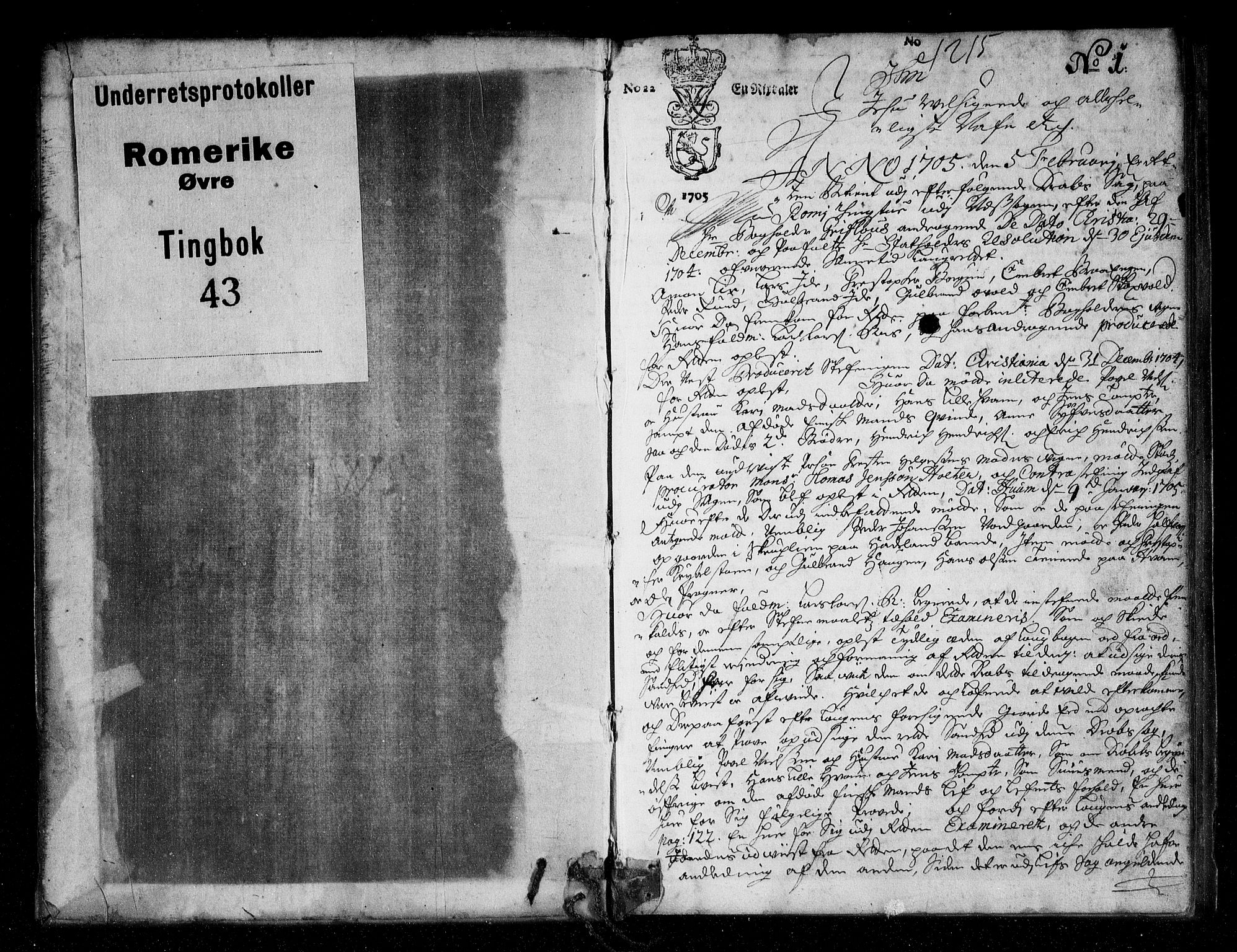 Øvre Romerike sorenskriveri, SAO/A-10649/F/Fb/L0043: Tingbok 43, 1705, s. 0b-1a