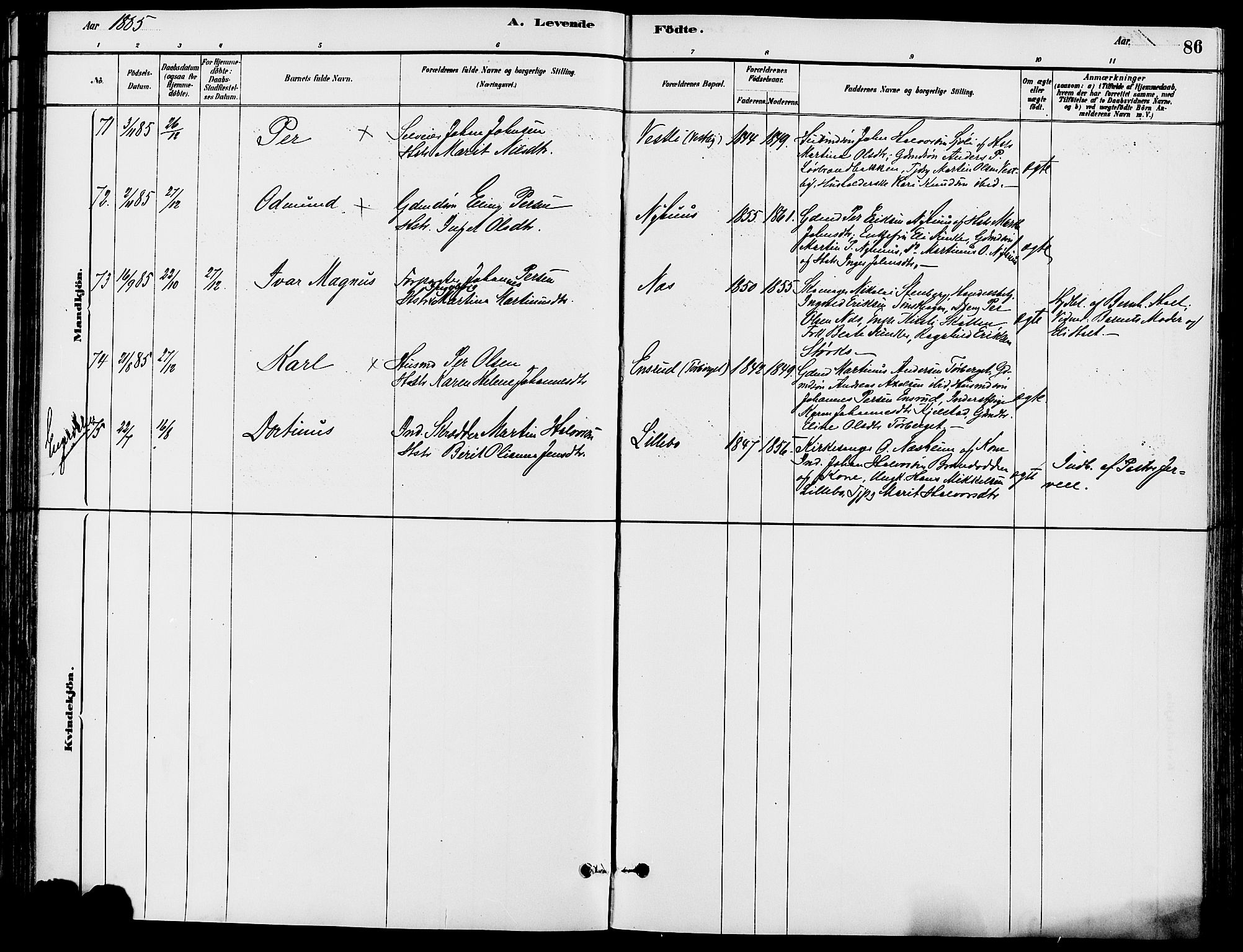 Trysil prestekontor, AV/SAH-PREST-046/H/Ha/Haa/L0008: Ministerialbok nr. 8, 1881-1897, s. 86