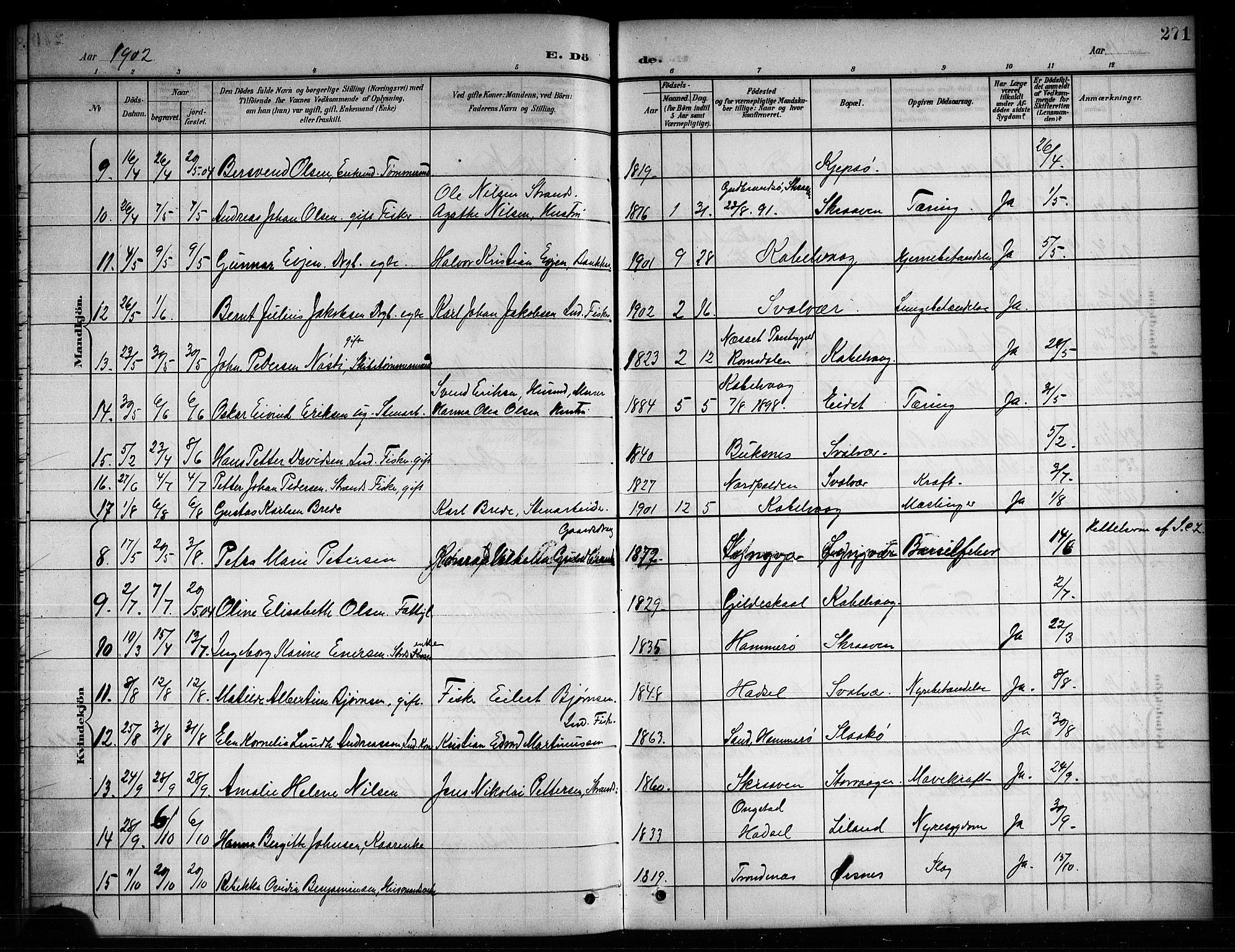 Ministerialprotokoller, klokkerbøker og fødselsregistre - Nordland, AV/SAT-A-1459/874/L1078: Klokkerbok nr. 874C07, 1900-1907, s. 271