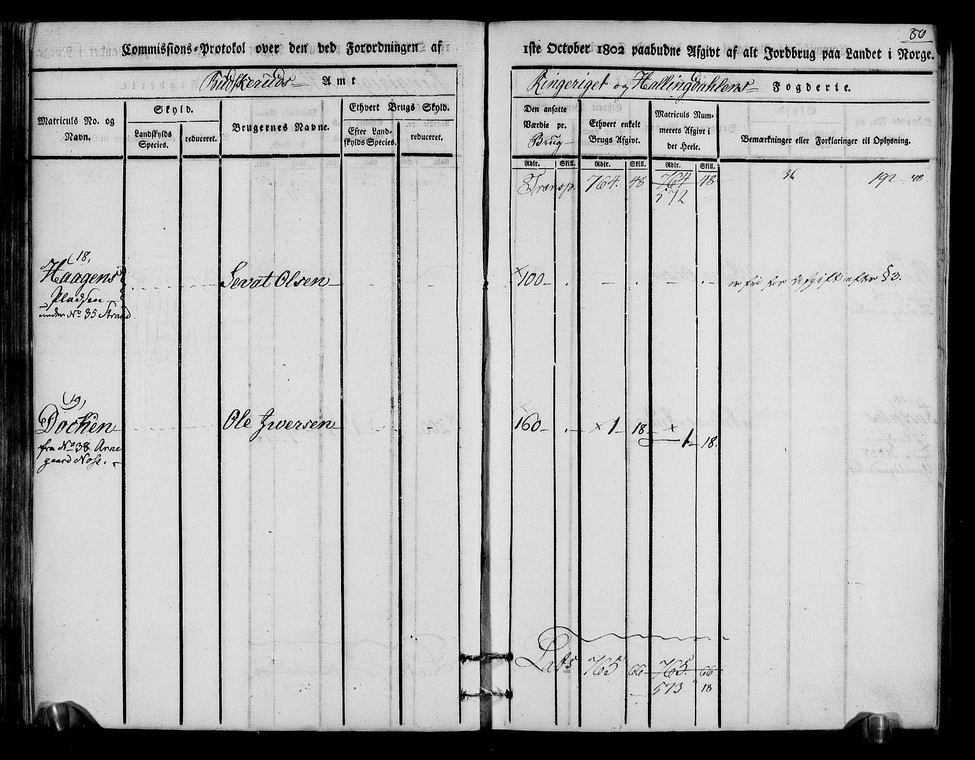 Rentekammeret inntil 1814, Realistisk ordnet avdeling, AV/RA-EA-4070/N/Ne/Nea/L0048: Ringerike og Hallingdal fogderi. Kommisjonsprotokoll for Ål prestegjeld, 1803, s. 84