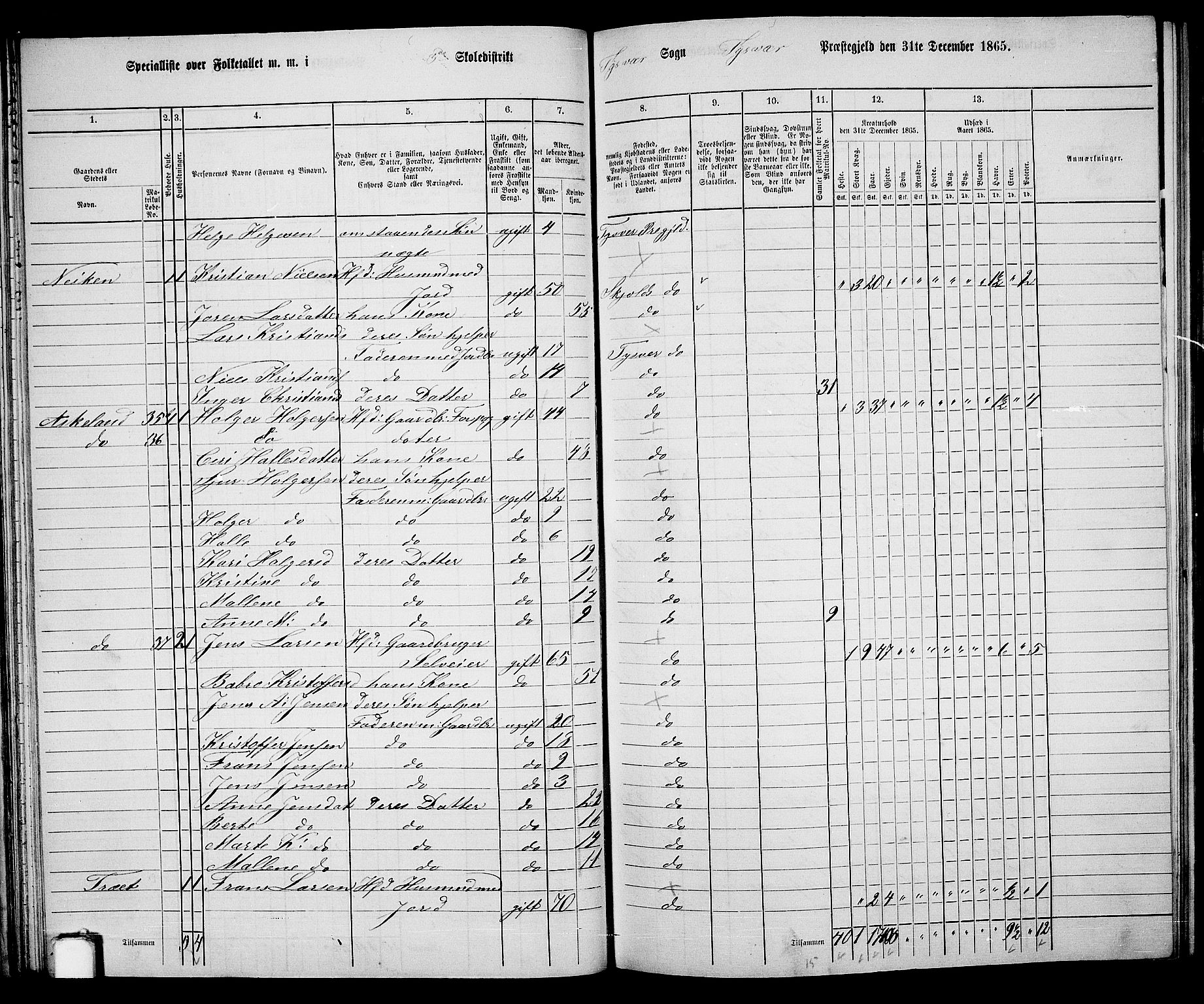 RA, Folketelling 1865 for 1146P Tysvær prestegjeld, 1865, s. 41