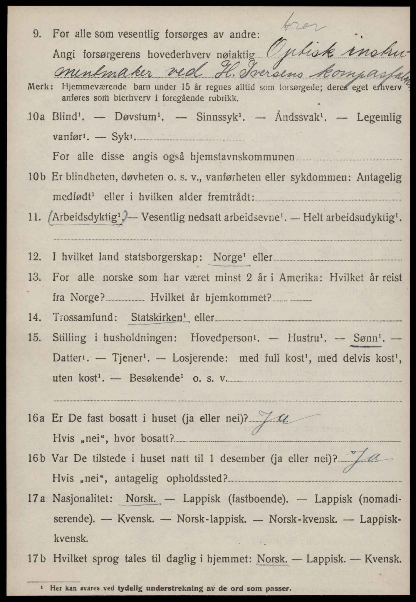 SAT, Folketelling 1920 for 1660 Strinda herred, 1920, s. 19071