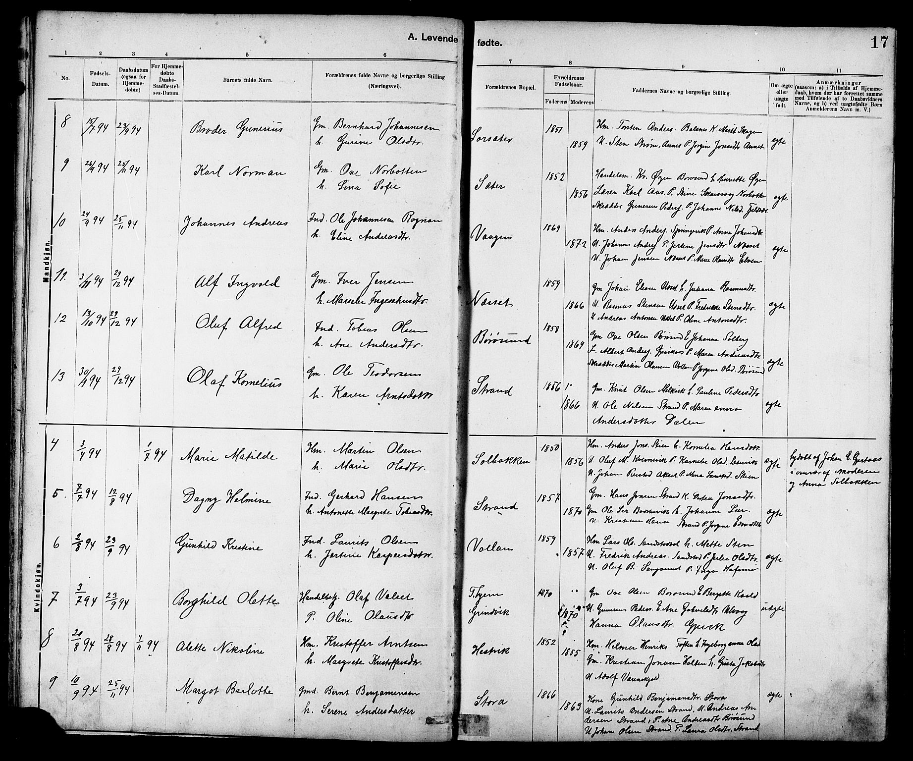 Ministerialprotokoller, klokkerbøker og fødselsregistre - Sør-Trøndelag, AV/SAT-A-1456/639/L0573: Klokkerbok nr. 639C01, 1890-1905, s. 17