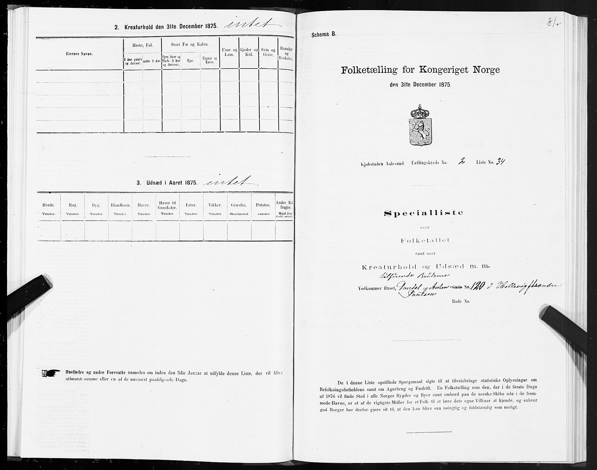 SAT, Folketelling 1875 for 1501P Ålesund prestegjeld, 1875, s. 2081