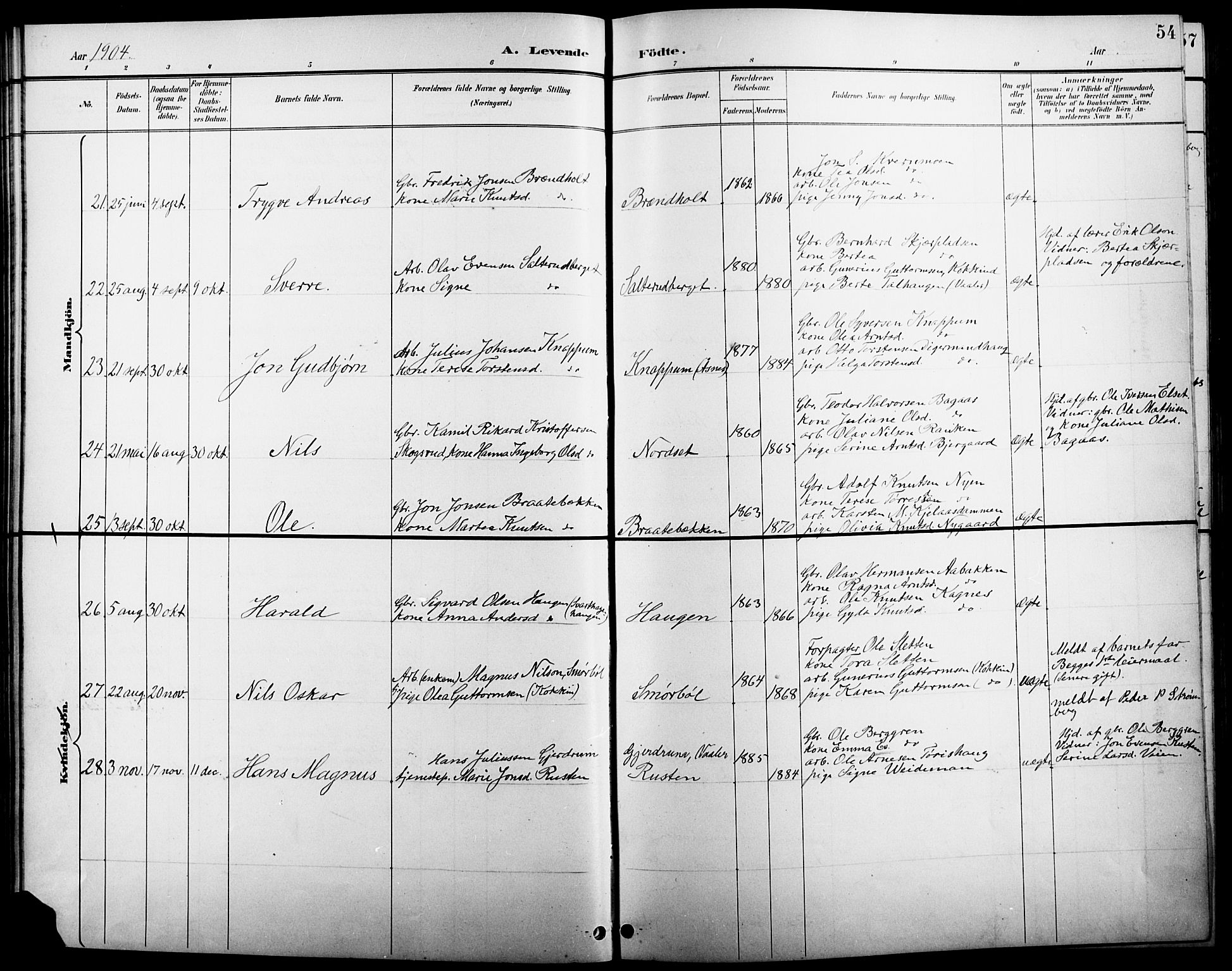 Åsnes prestekontor, AV/SAH-PREST-042/H/Ha/Hab/L0005: Klokkerbok nr. 5, 1895-1920, s. 54