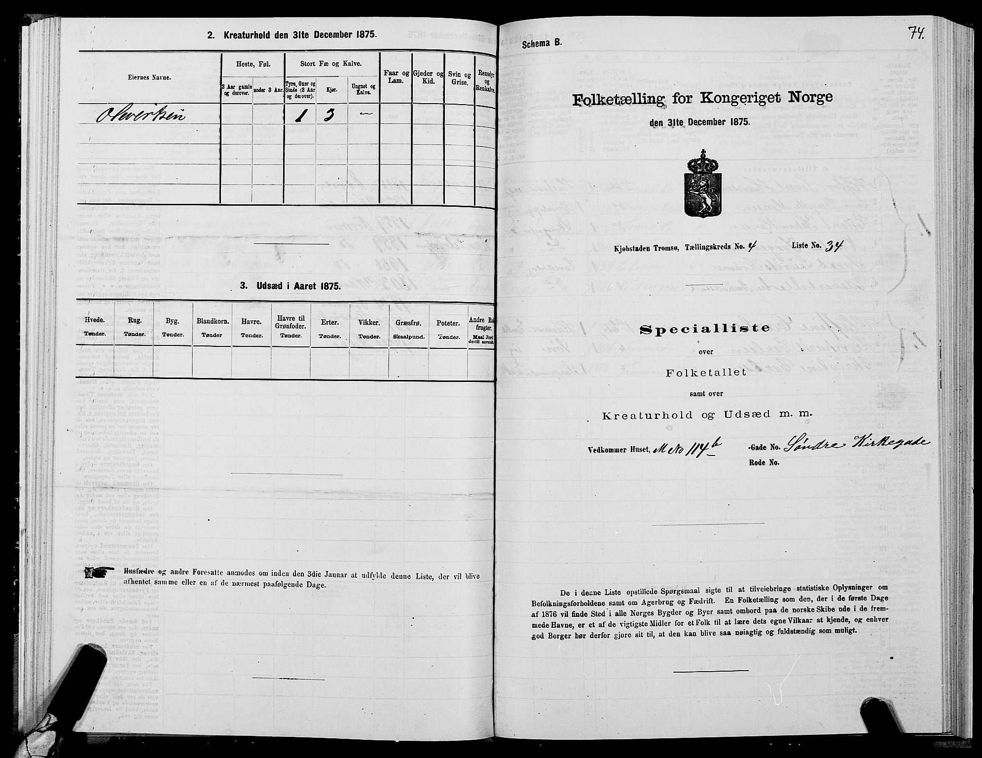 SATØ, Folketelling 1875 for 1902P Tromsø prestegjeld, 1875, s. 3074