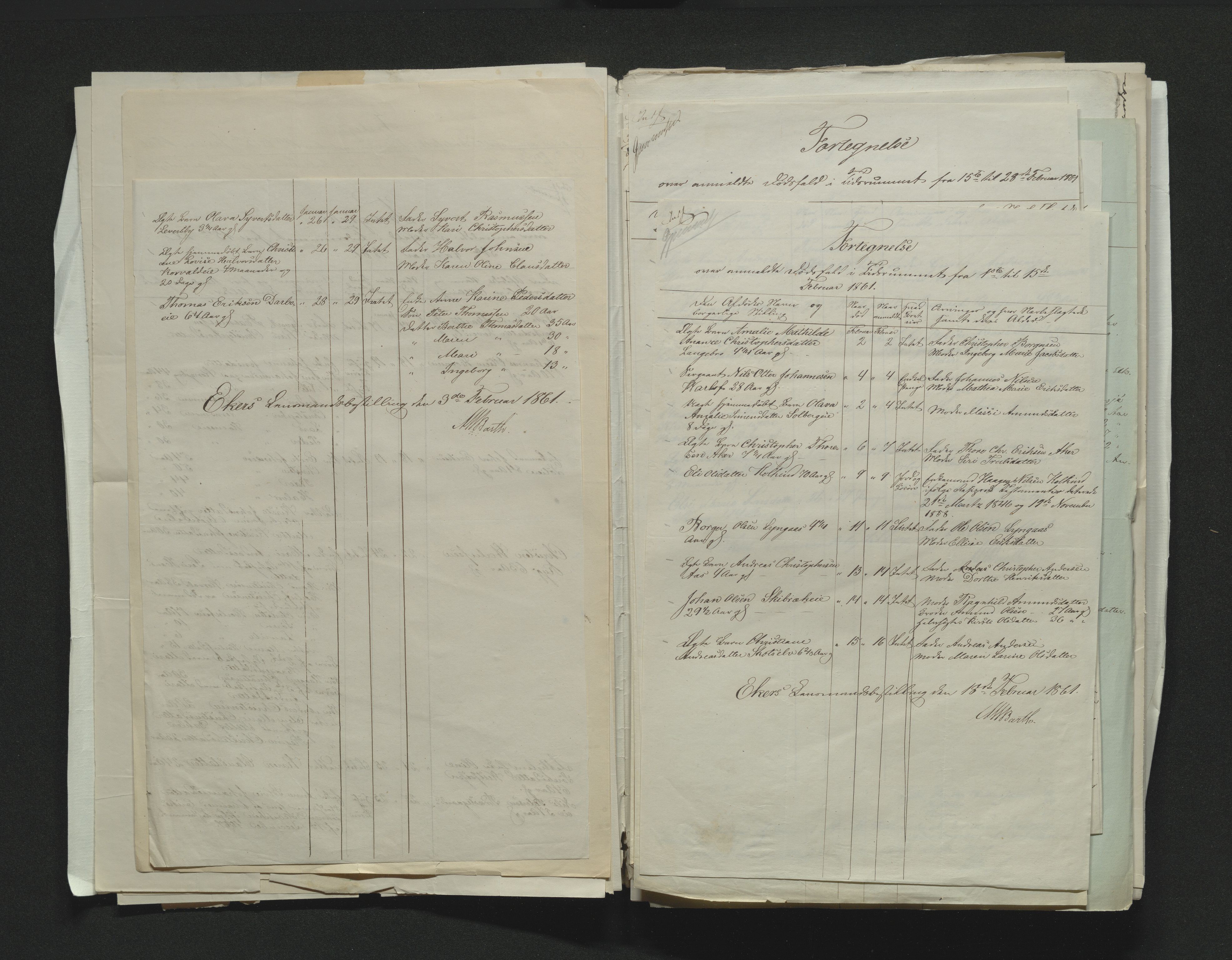 Eiker, Modum og Sigdal sorenskriveri, AV/SAKO-A-123/H/Ha/Hab/L0010: Dødsfallsmeldinger, 1858-1861, s. 409