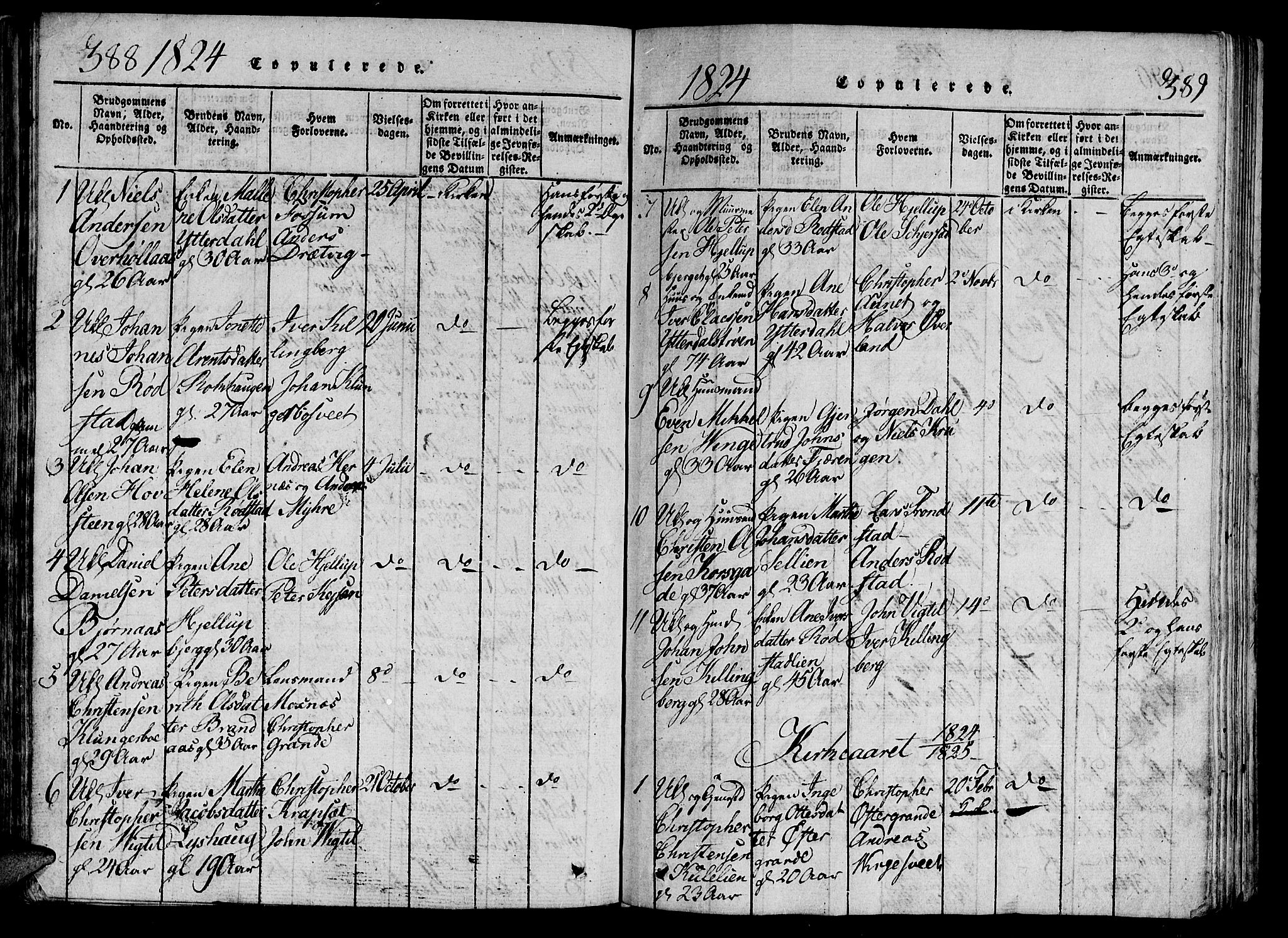 Ministerialprotokoller, klokkerbøker og fødselsregistre - Nord-Trøndelag, AV/SAT-A-1458/701/L0005: Ministerialbok nr. 701A05 /1, 1816-1825, s. 388-389