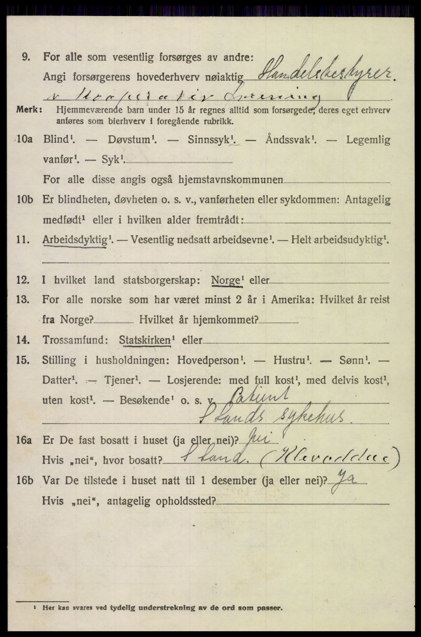 SAH, Folketelling 1920 for 0536 Søndre Land herred, 1920, s. 4266