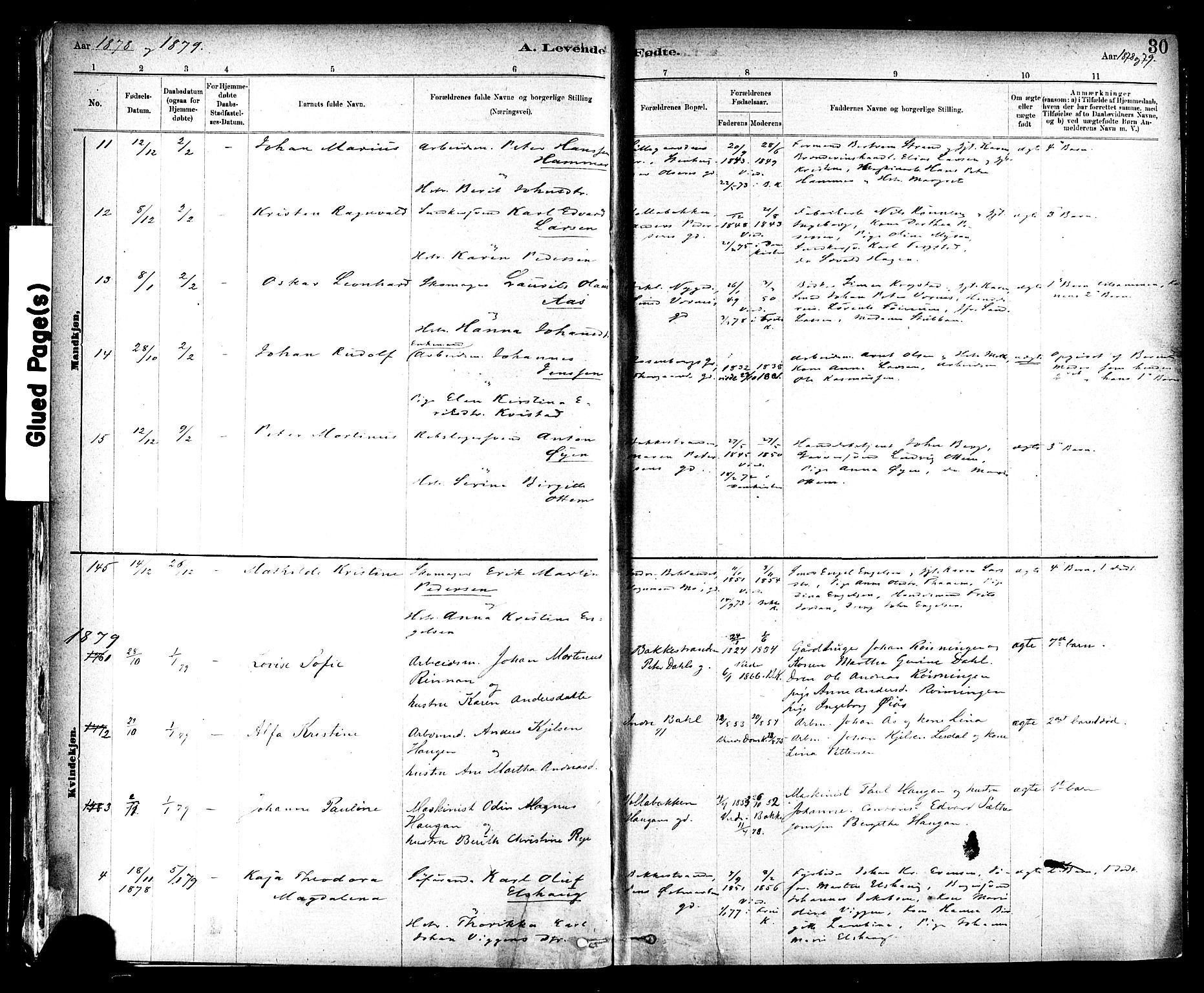 Ministerialprotokoller, klokkerbøker og fødselsregistre - Sør-Trøndelag, SAT/A-1456/604/L0188: Ministerialbok nr. 604A09, 1878-1892, s. 30