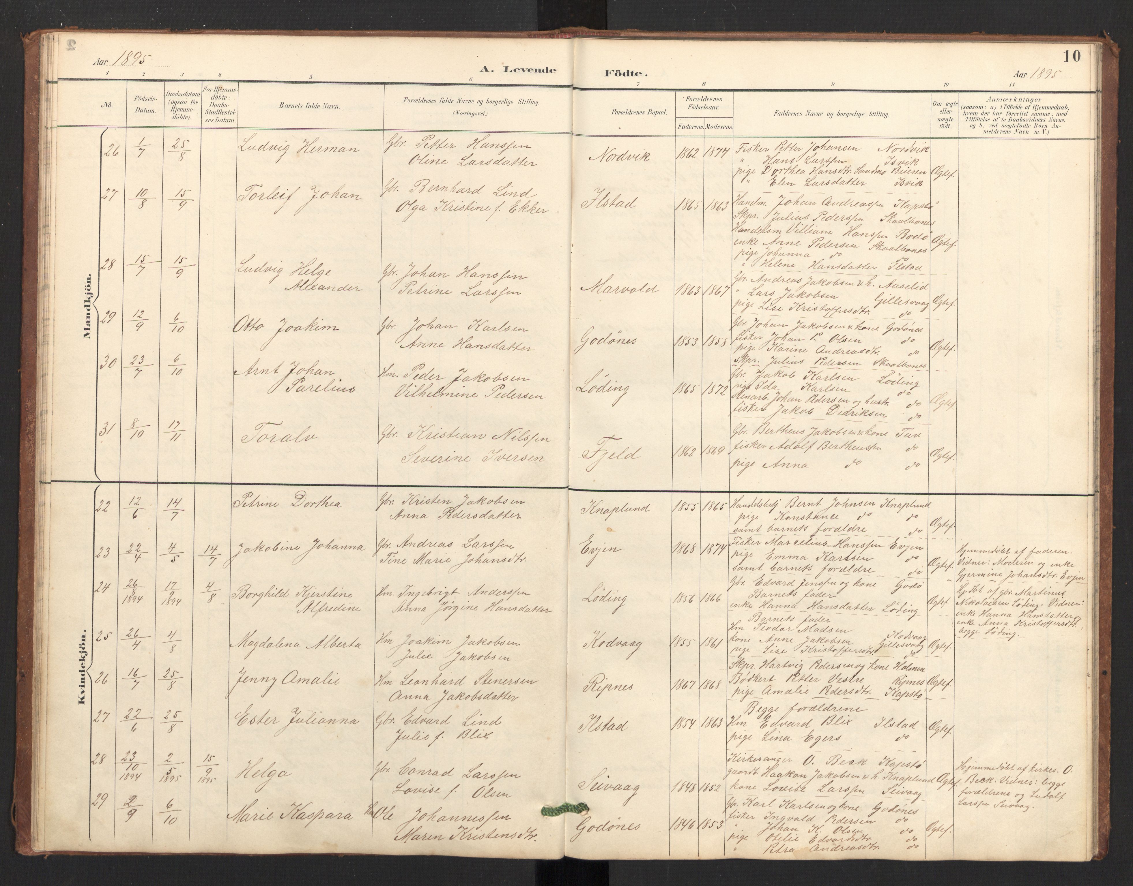 Ministerialprotokoller, klokkerbøker og fødselsregistre - Nordland, SAT/A-1459/804/L0087: Ministerialbok nr. 804A08, 1894-1907, s. 10