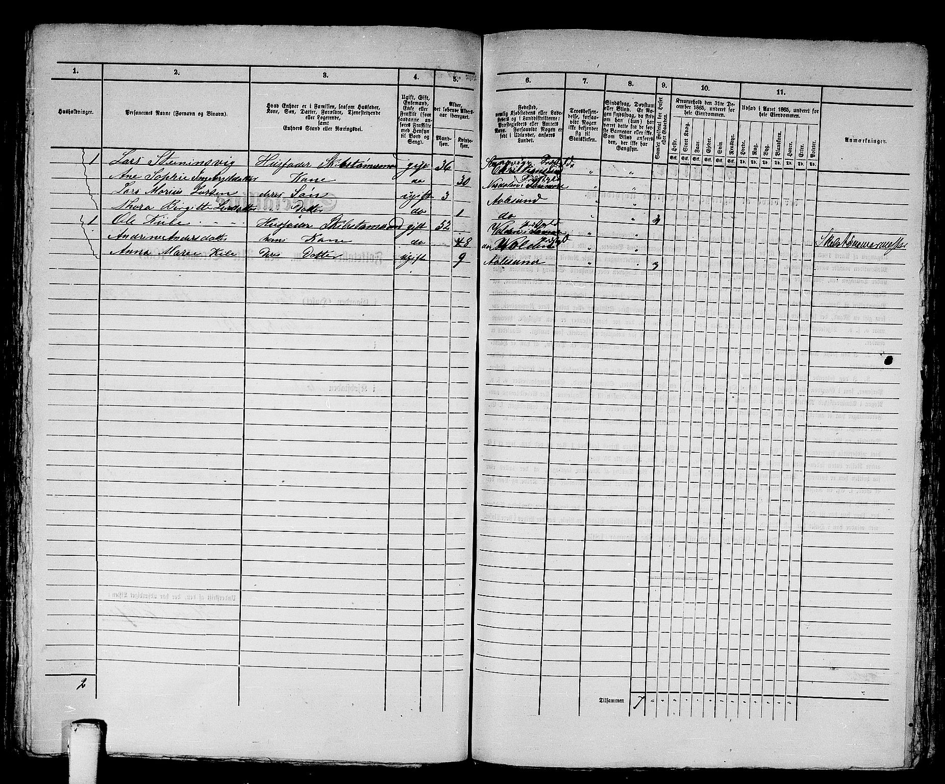 RA, Folketelling 1865 for 1501P Ålesund prestegjeld, 1865, s. 430