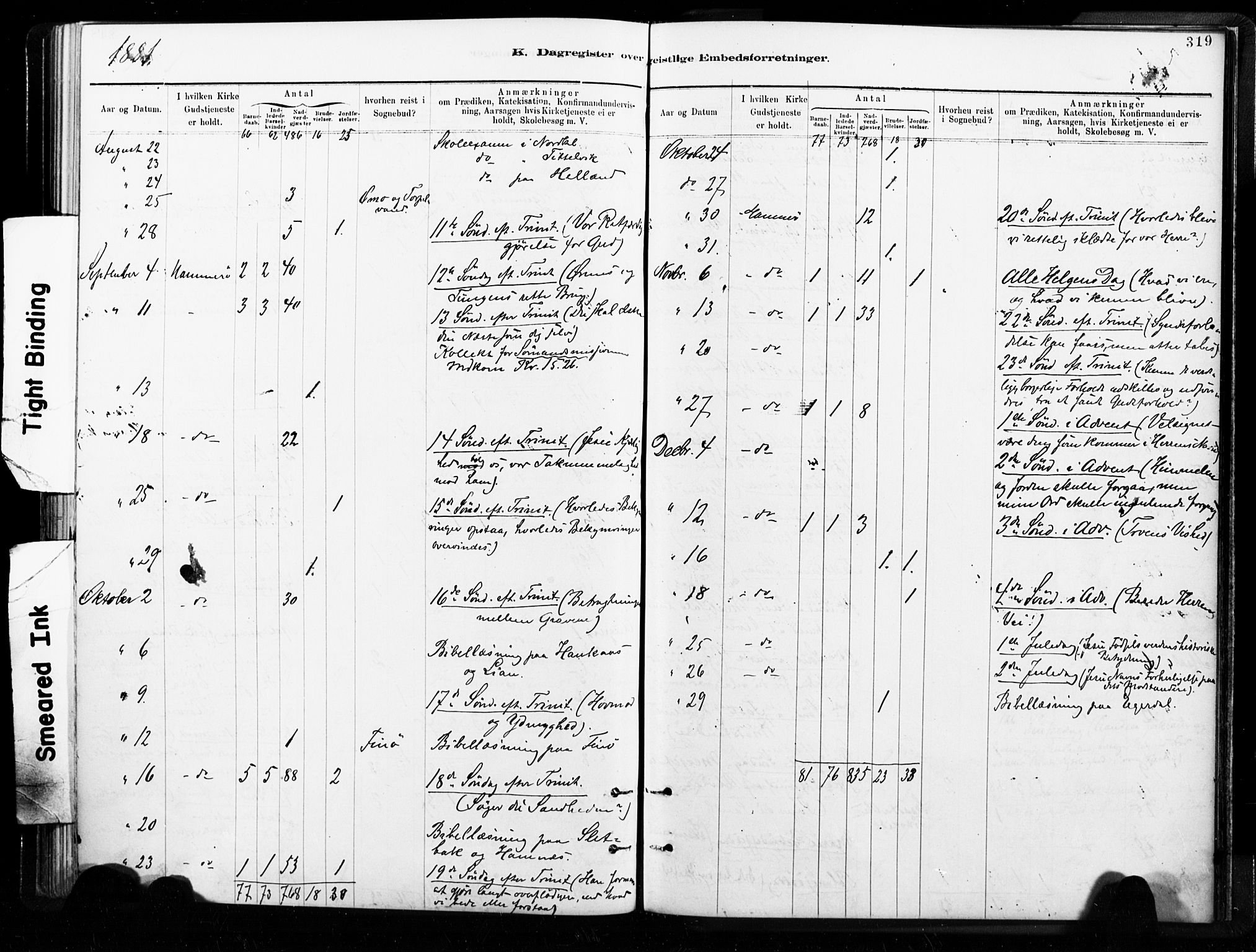 Ministerialprotokoller, klokkerbøker og fødselsregistre - Nordland, AV/SAT-A-1459/859/L0846: Ministerialbok nr. 859A06, 1878-1889, s. 319