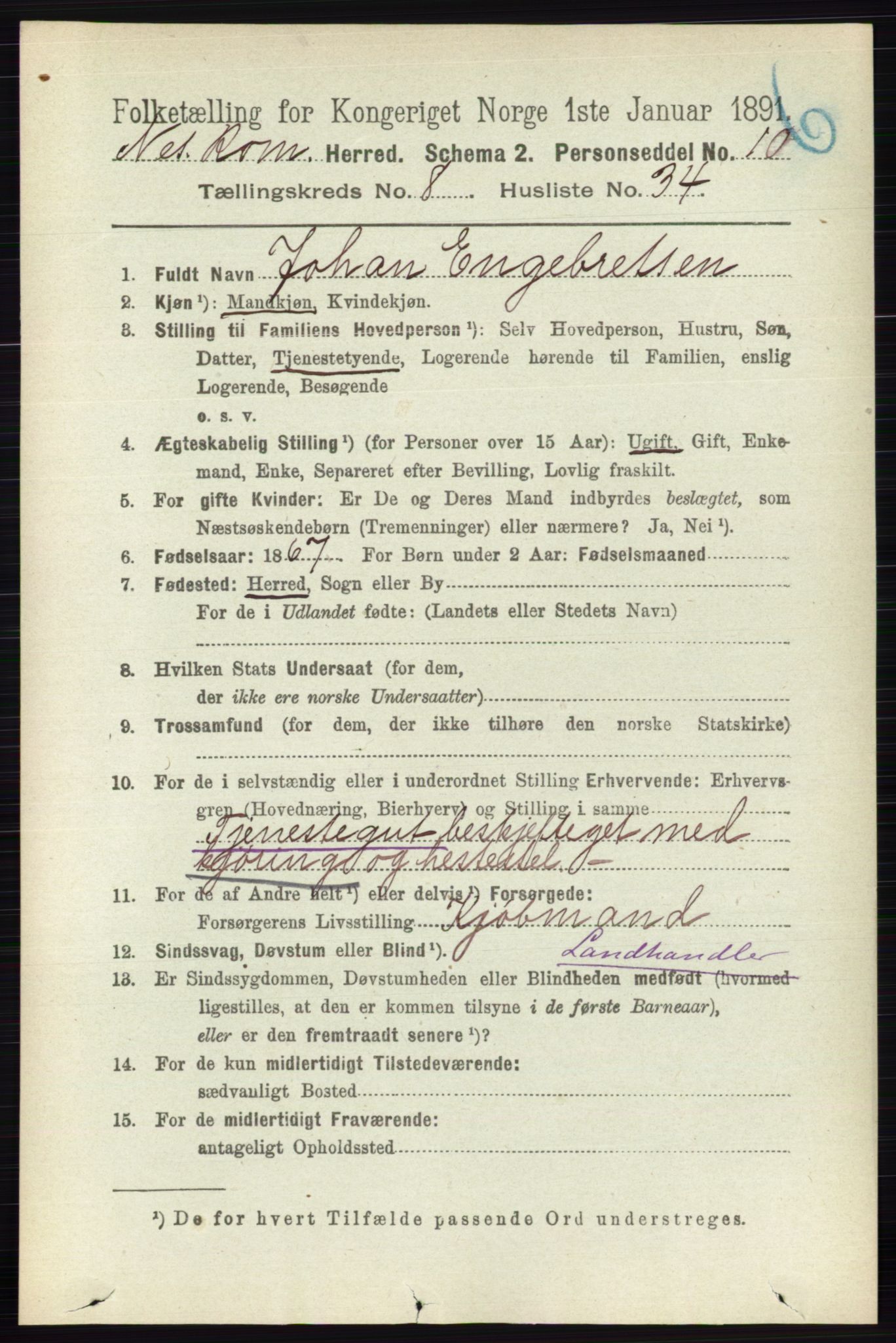 RA, Folketelling 1891 for 0236 Nes herred, 1891, s. 4822