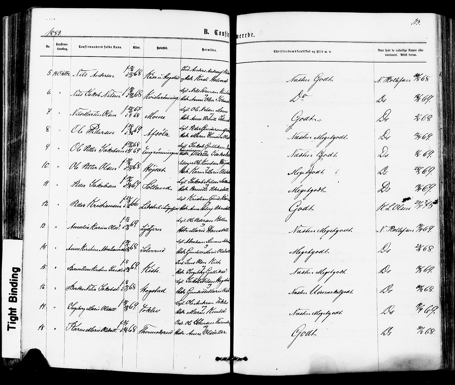 Siljan kirkebøker, SAKO/A-300/F/Fa/L0002: Ministerialbok nr. 2, 1870-1895, s. 113