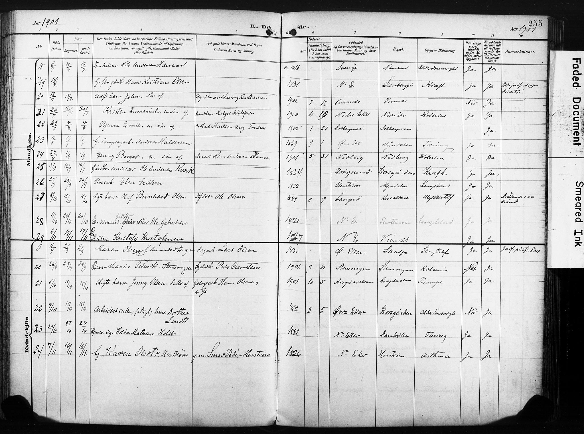 Nedre Eiker kirkebøker, AV/SAKO-A-612/F/Fa/L0005: Ministerialbok nr. 5, 1898-1905, s. 255