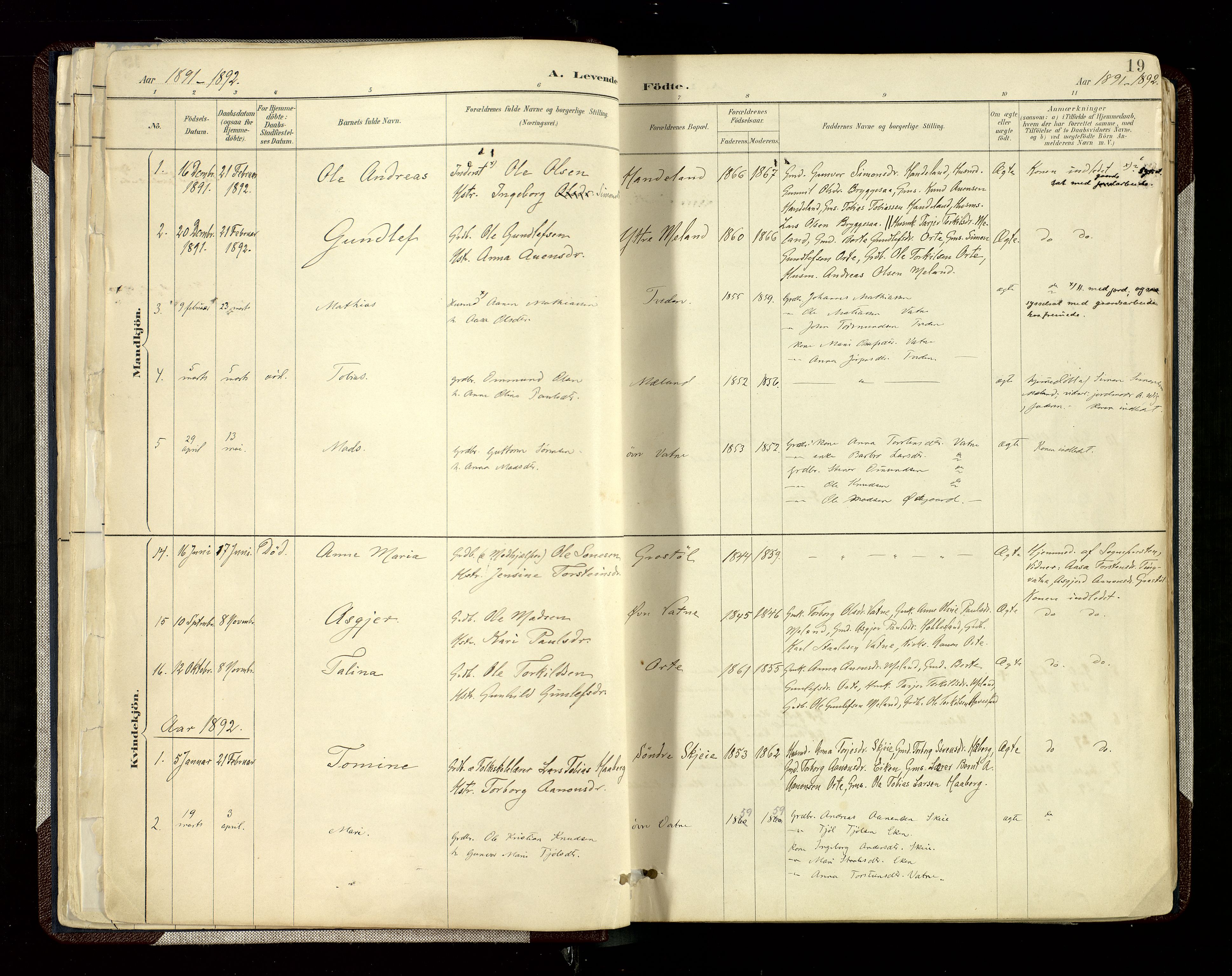 Hægebostad sokneprestkontor, AV/SAK-1111-0024/F/Fa/Fab/L0004: Ministerialbok nr. A 4, 1887-1929, s. 19